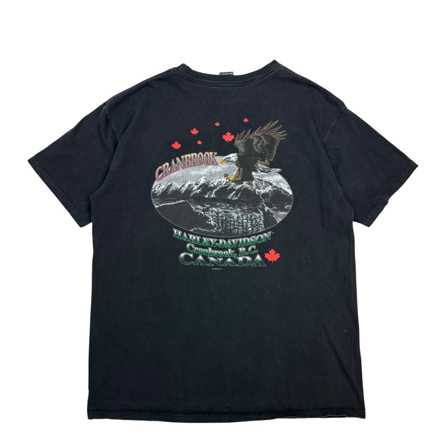Vintage Harley Davidson Of Cranbrook Tee Black