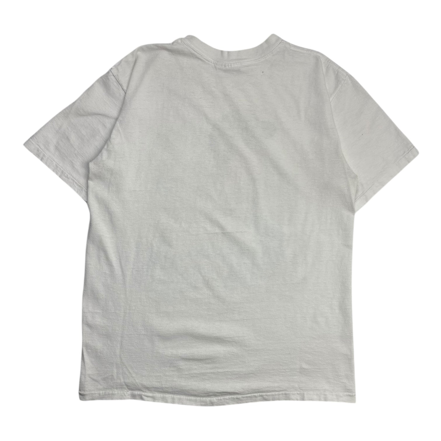 Vintage Salem Sportswear Chicago Cubs Ryne Sandberg Big Head T-Shirt