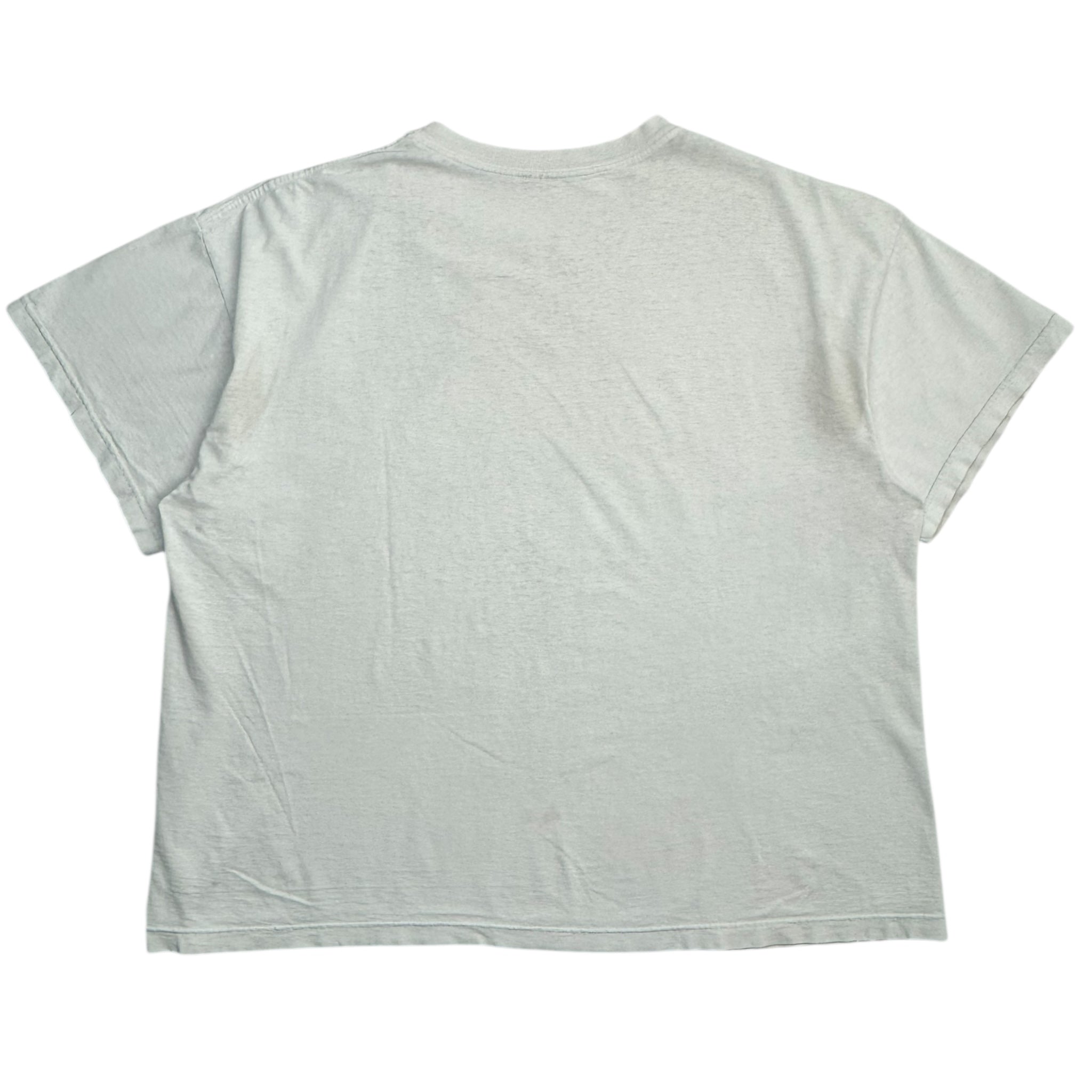 Vintage Mickey Mouse Buttefly Catcher T-Shirt