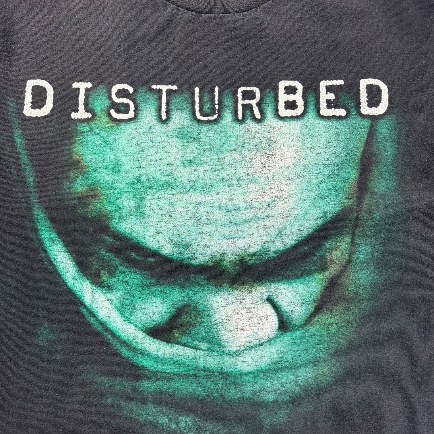 Vintage Disturbed "Spreading the Sickness" Tour T-Shirt
