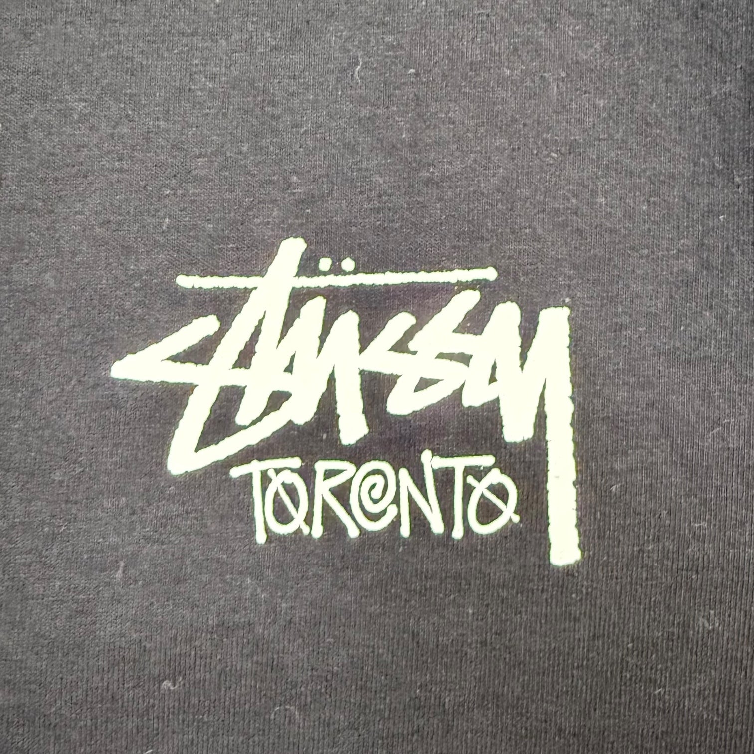 Stussy Toronto Chapter Tee Black