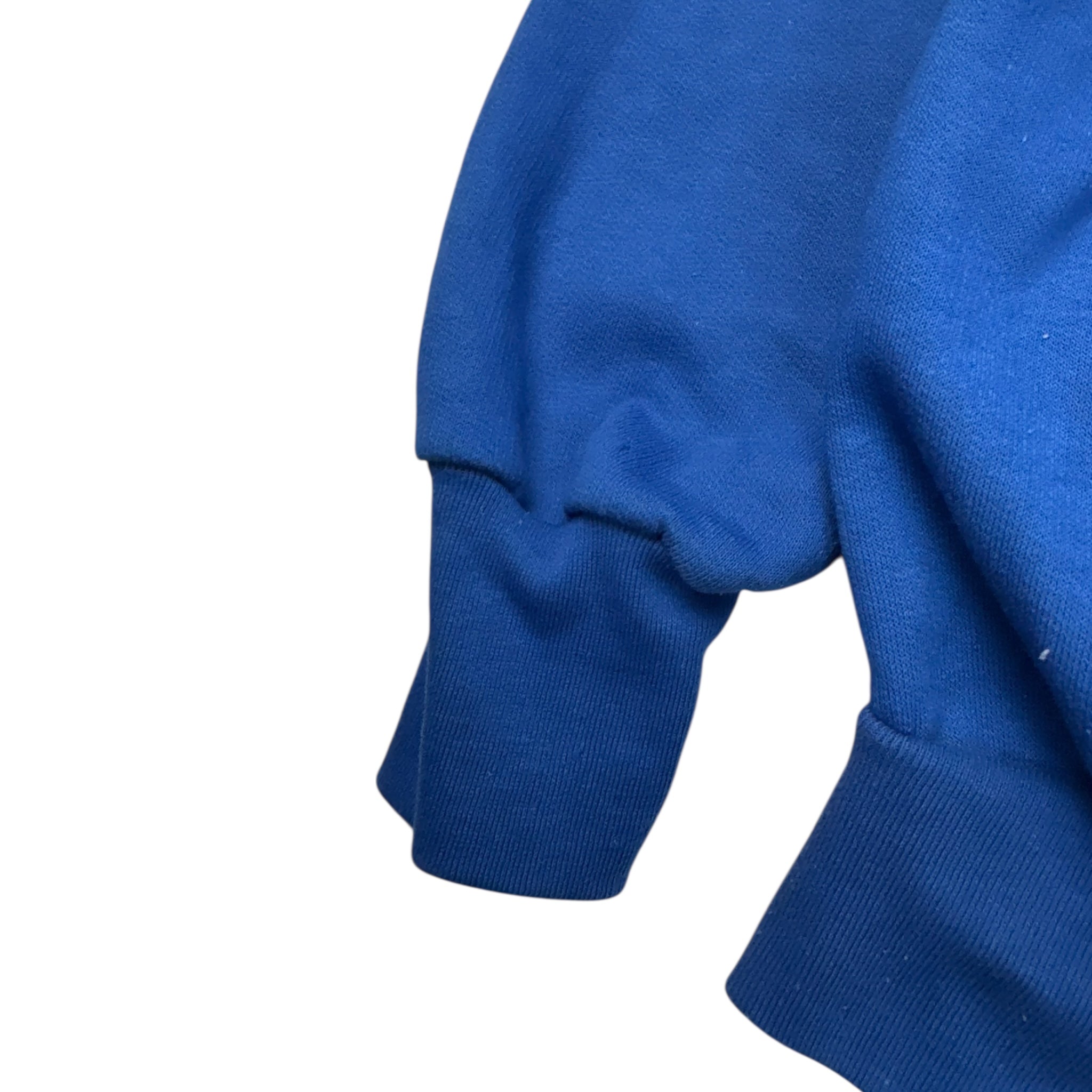 Vintage Quebec Nordiques Logo Hoodie