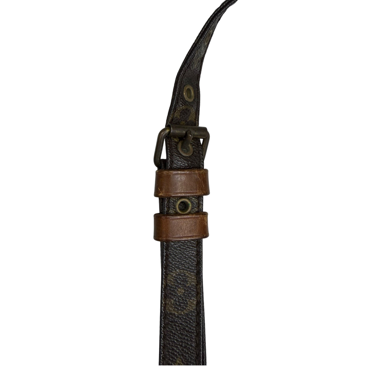 Louis Vuitton Monogram Danube Crossbody Bag Brown