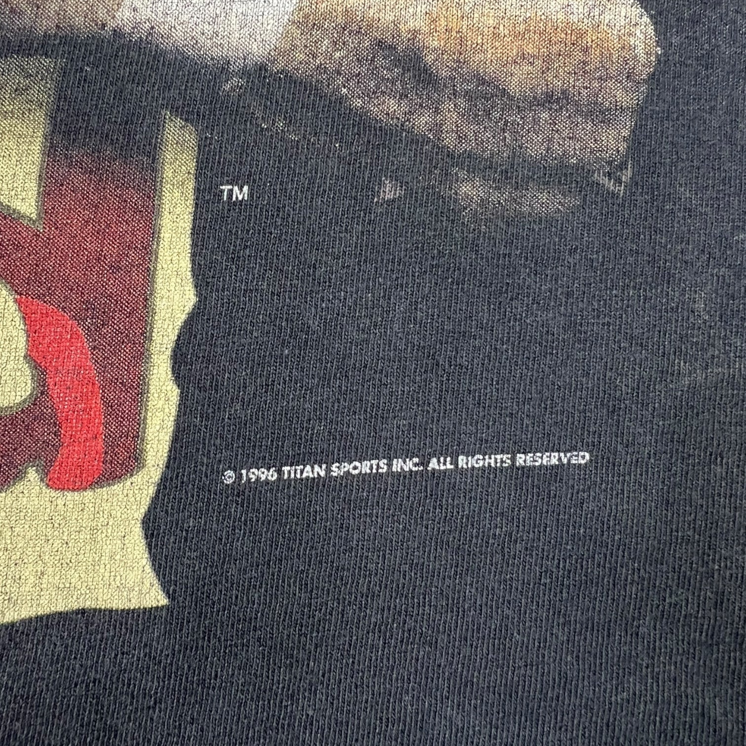 Vintage 1996 WWF Sid “I Rule The World!” T-Shirt Washed Black