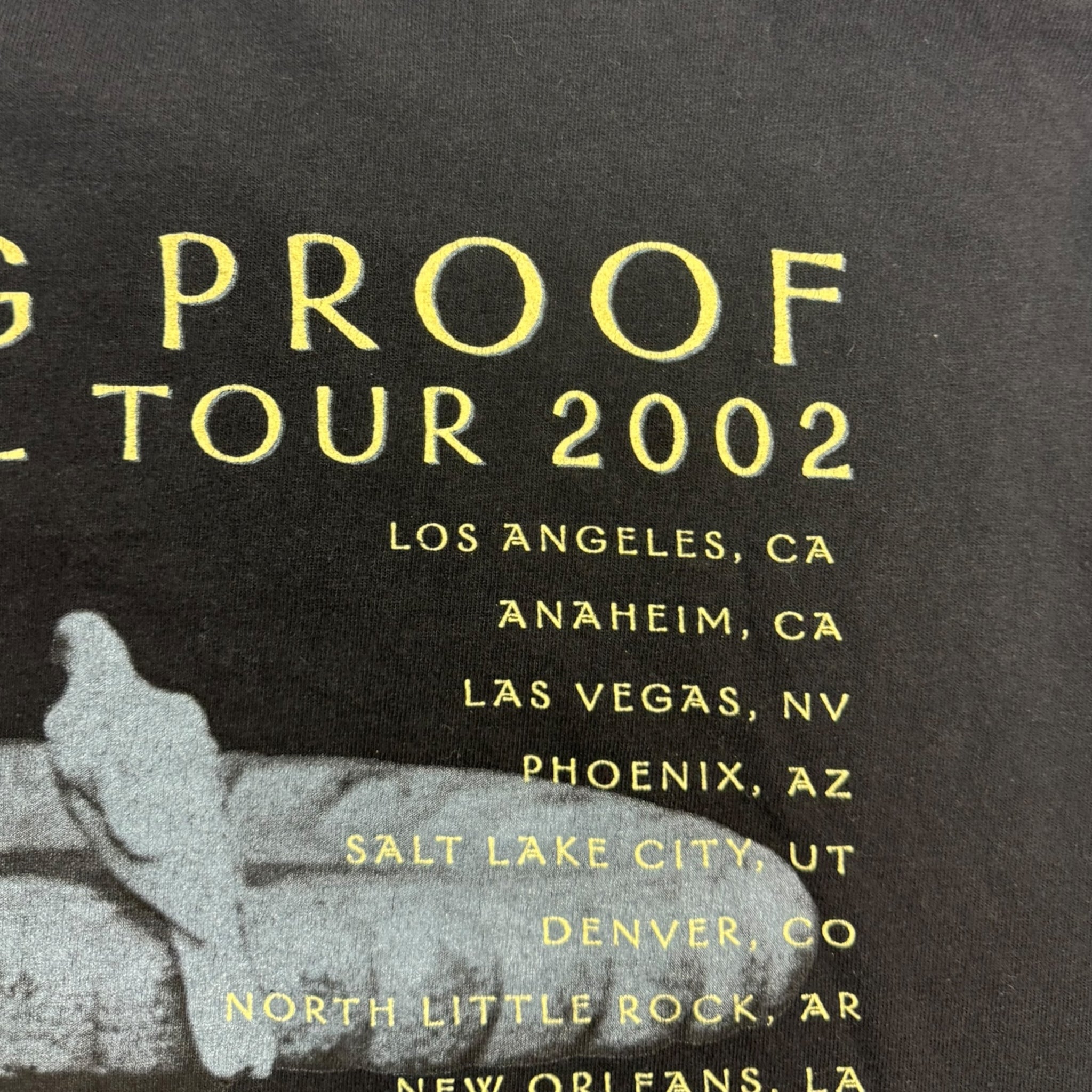 2002 Cher “Living Proof” Tour T-Shirt