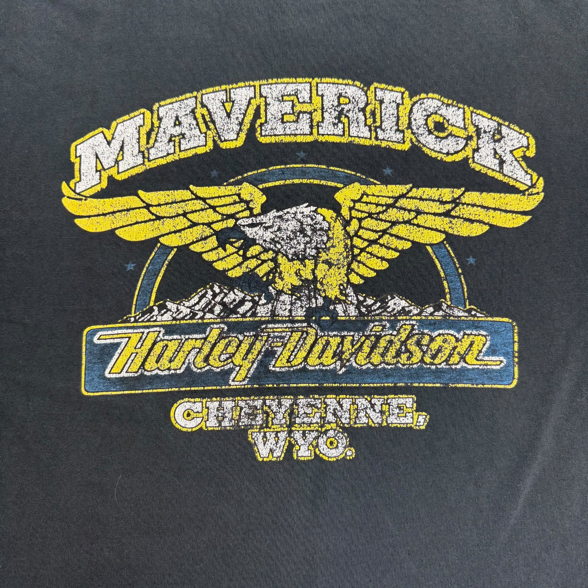Vintage Harley Davidson Of Cheyenne L/S Tee Black