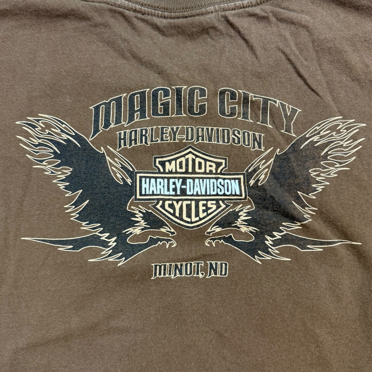 Vintage Harley Davidson Of Minot L/S Tee Brown