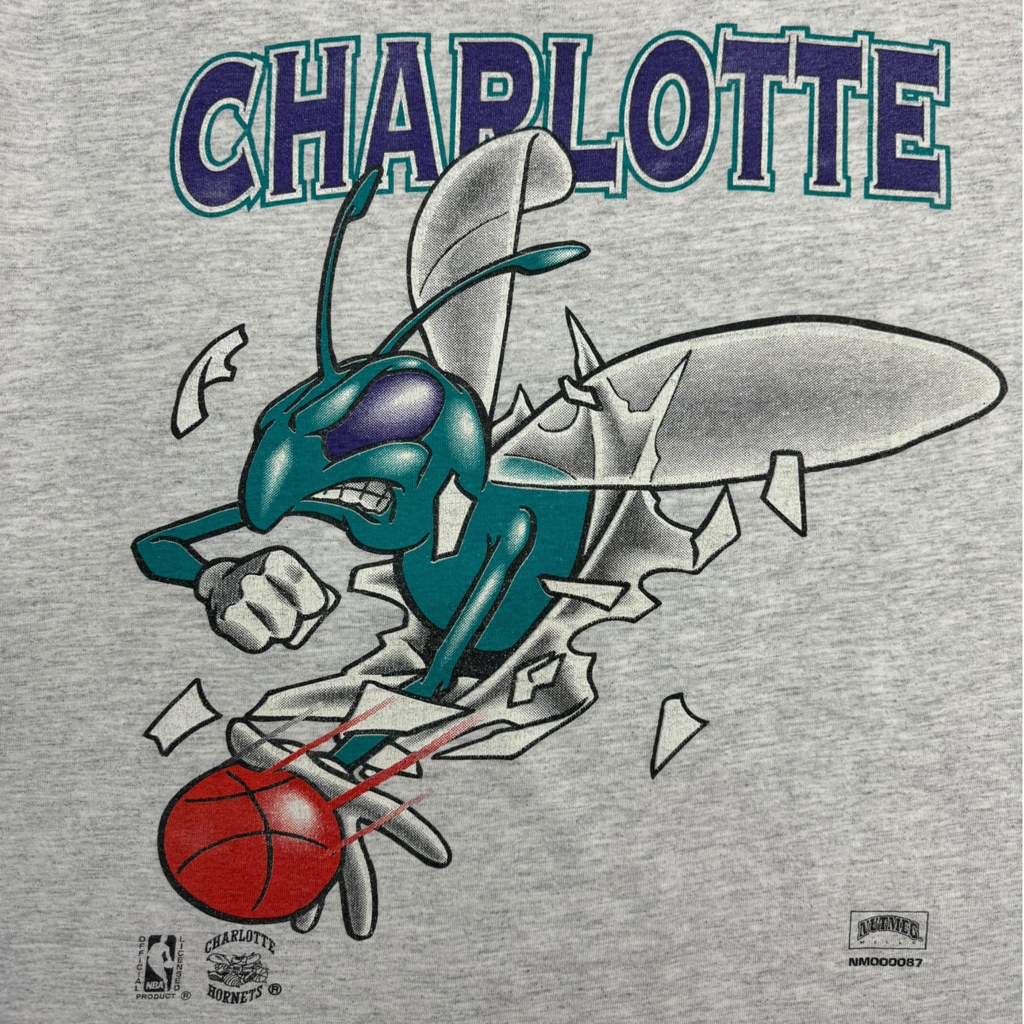 Vintage Charlotte Hornets Break-Thru T-Shirt