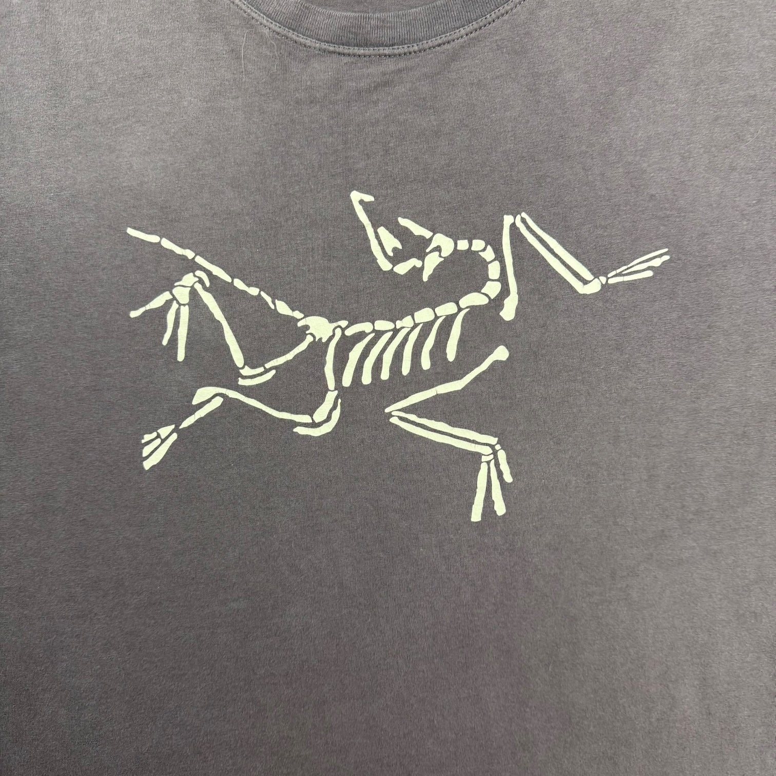 Arc’teryx Bird Logo Tee Dark Grey