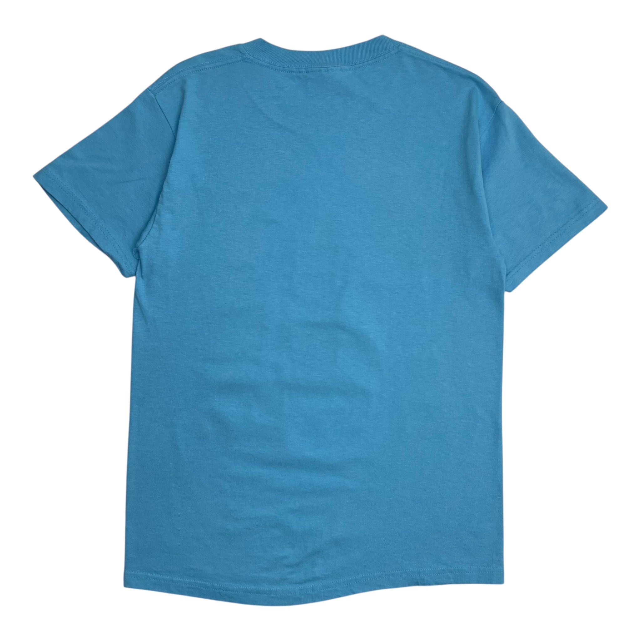 Vintage Descendents All Album T-Shirt Blue