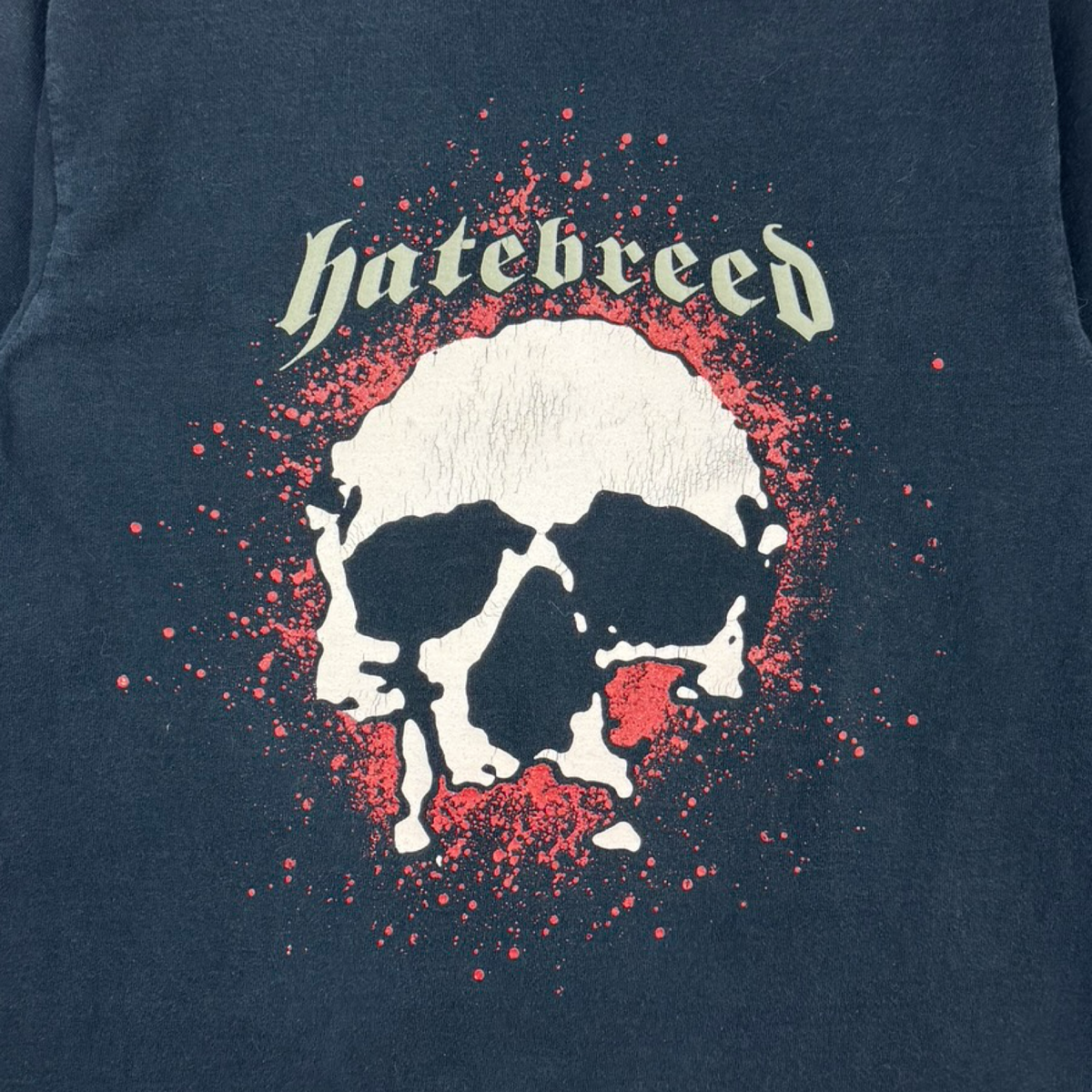 Vintage Hatebreed “Your Doom Awaits You” Metal Longsleeve