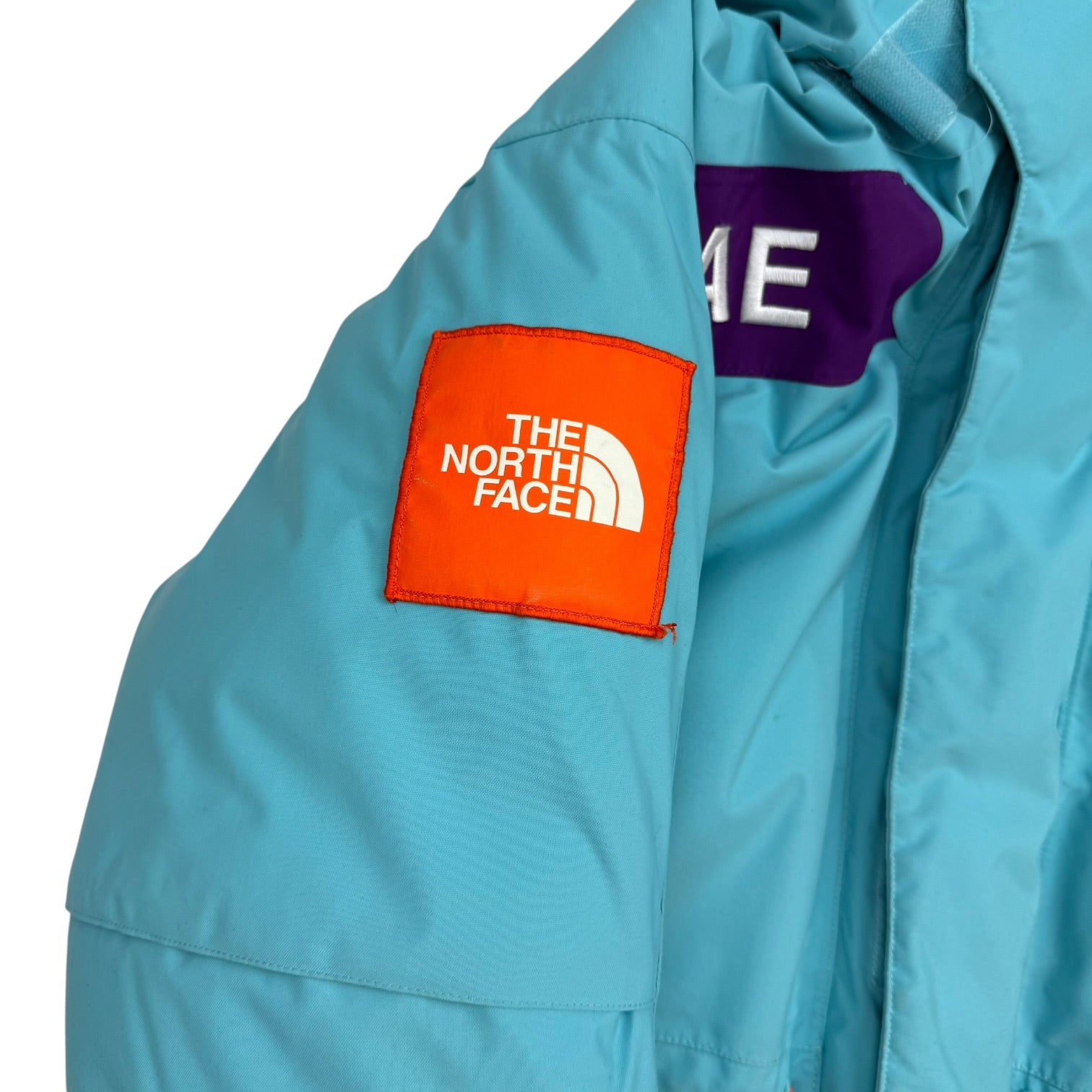 The North Face TAE Trans-Antartica Expedition 700 Parka Teal