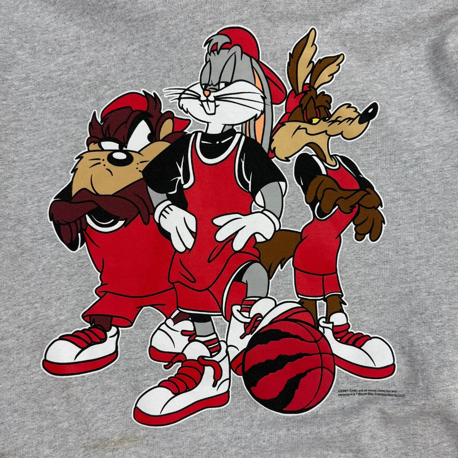 Octobers Very Own x Looney Tunes Toronto Raptors Hoodie Grey