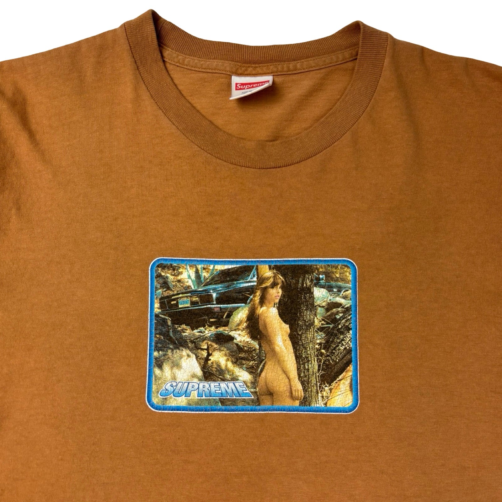 Supreme Larry Clark Girl Tee Mocha