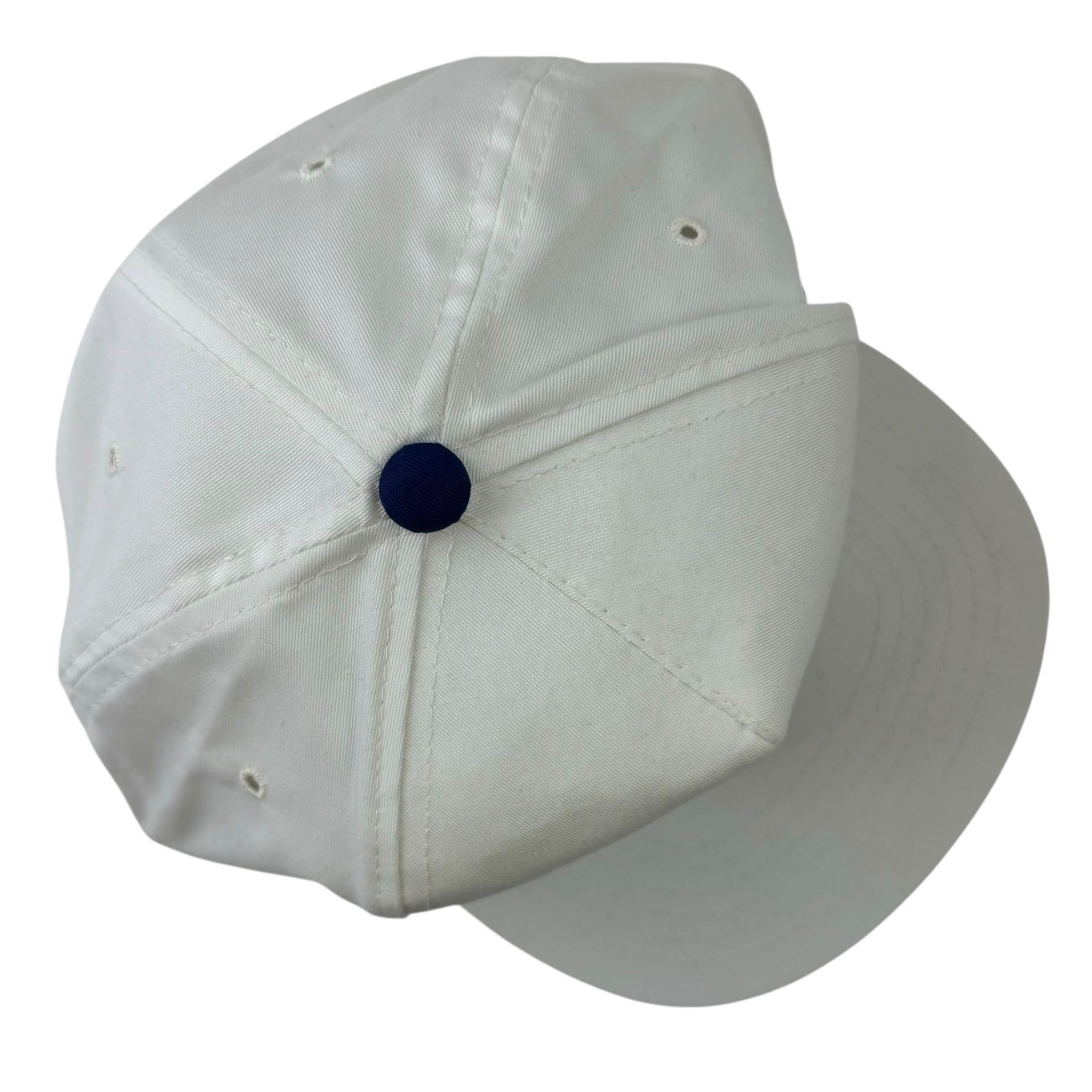 Vintage 1989 Chicago Cubs Champions SnapBack Hat White