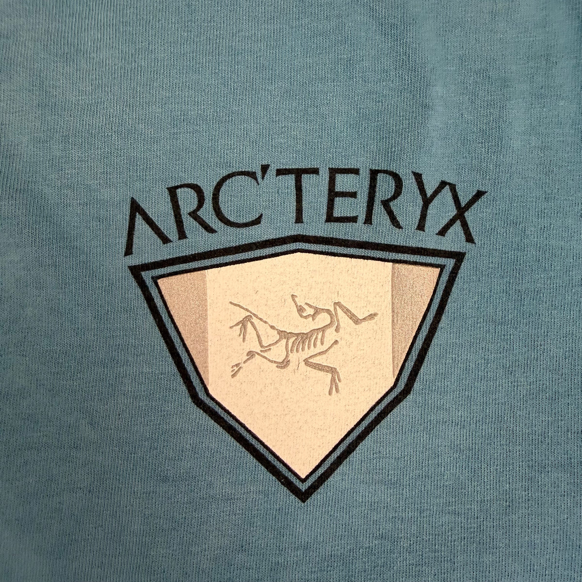 Vintage Arcteryx Tee Faded Blue
