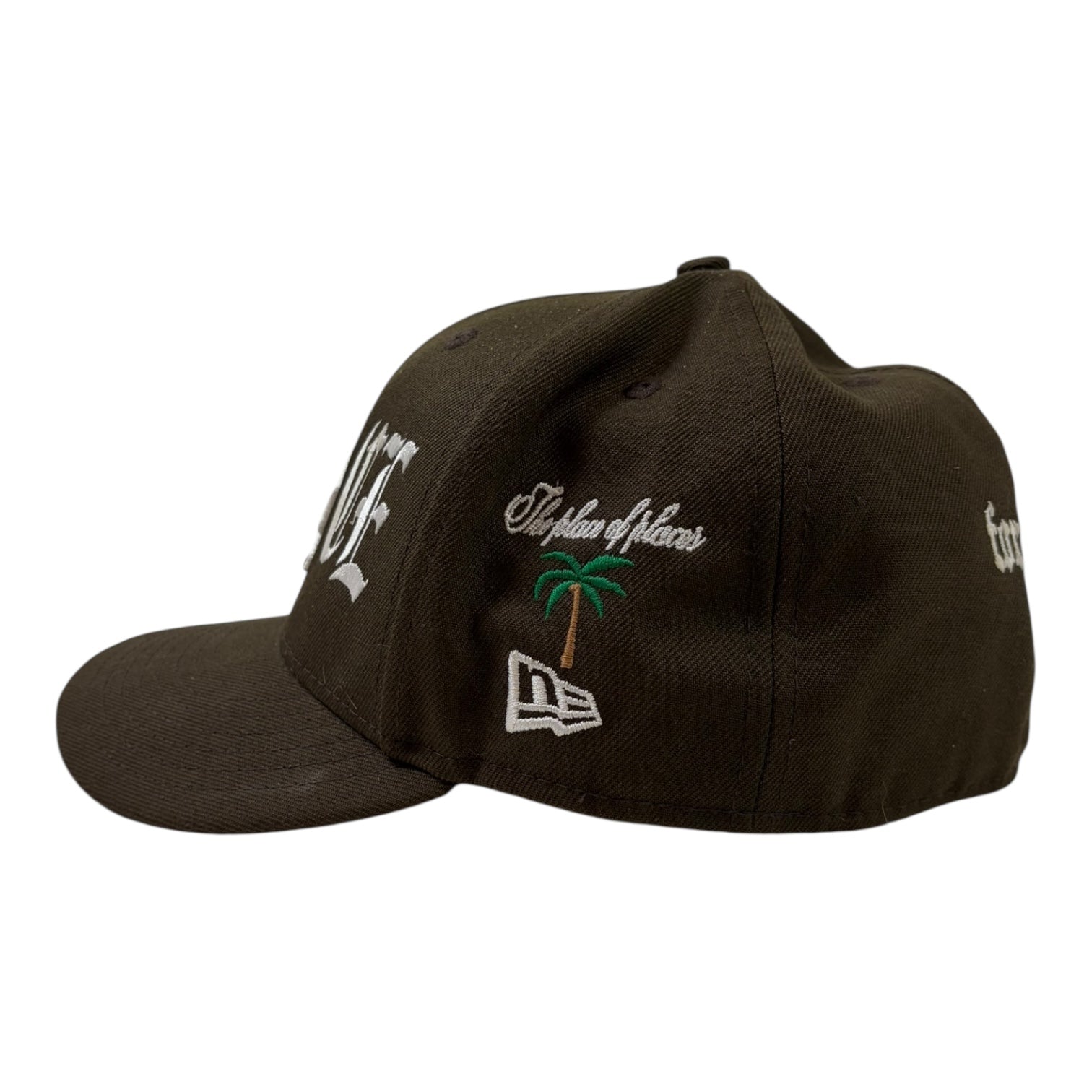Menace “A Sunny Day For Shaded People” Fitted Hat Brown