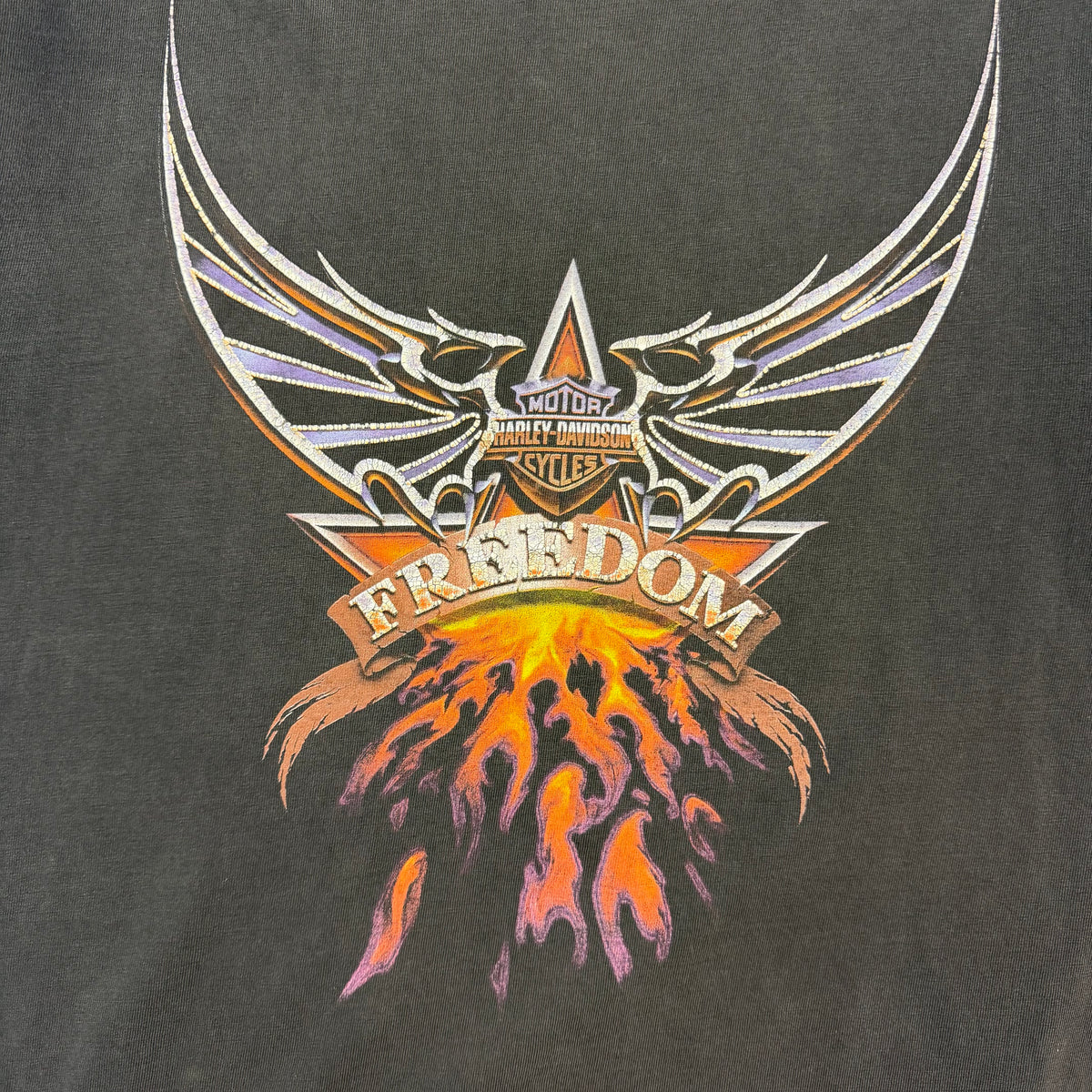Vintage Harley Davidson Freedom Winnipeg Tee Black