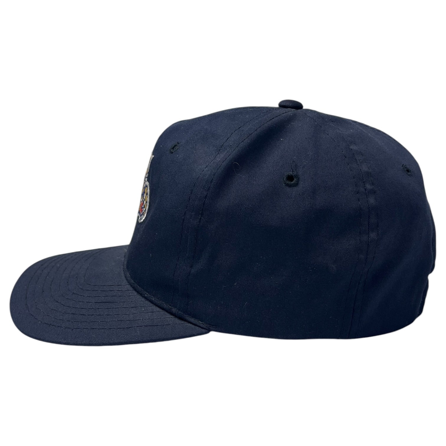 Vintage Florida Panthers Starter Snap Back