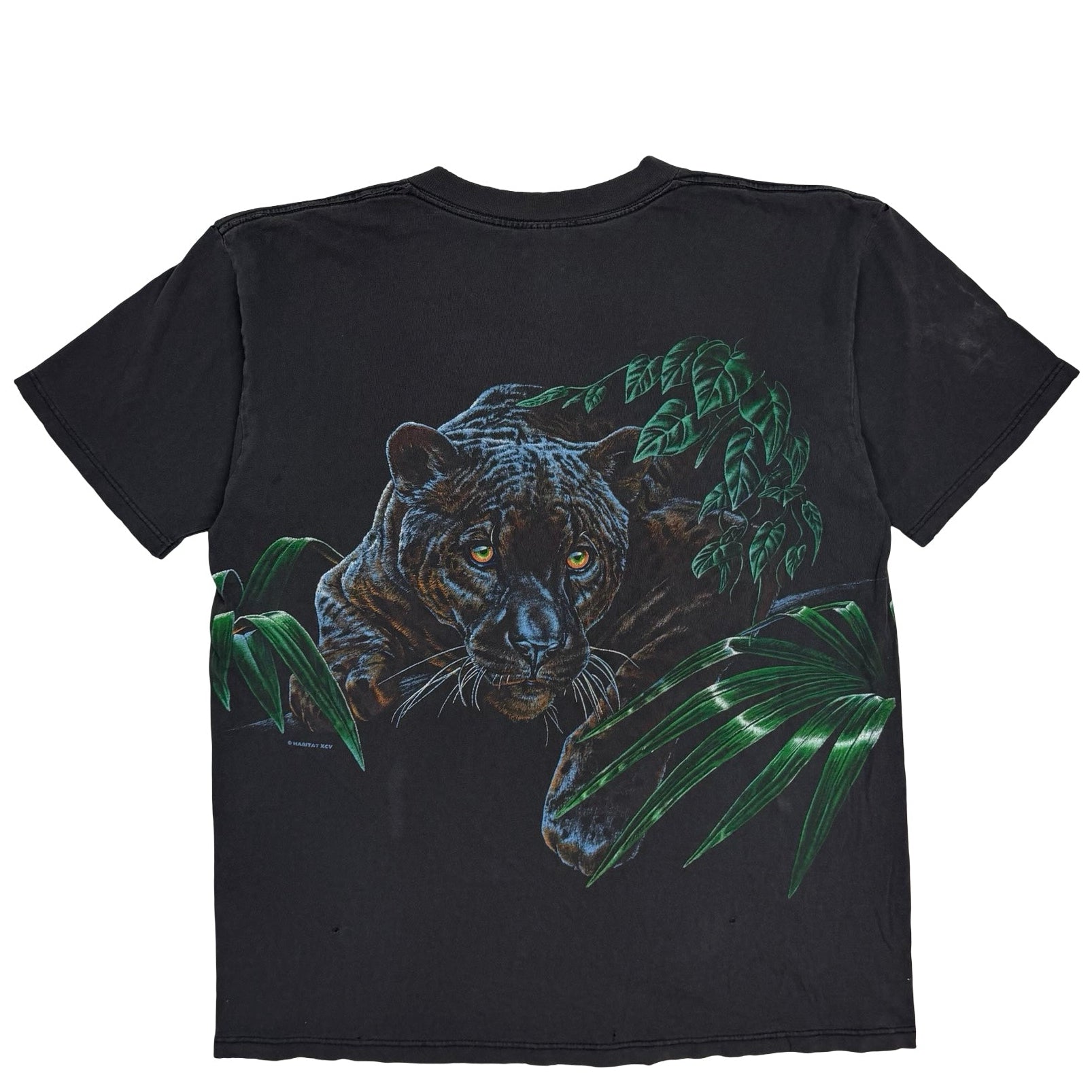 Vintage Black Panther Assiniboine Park Zoo Too Black