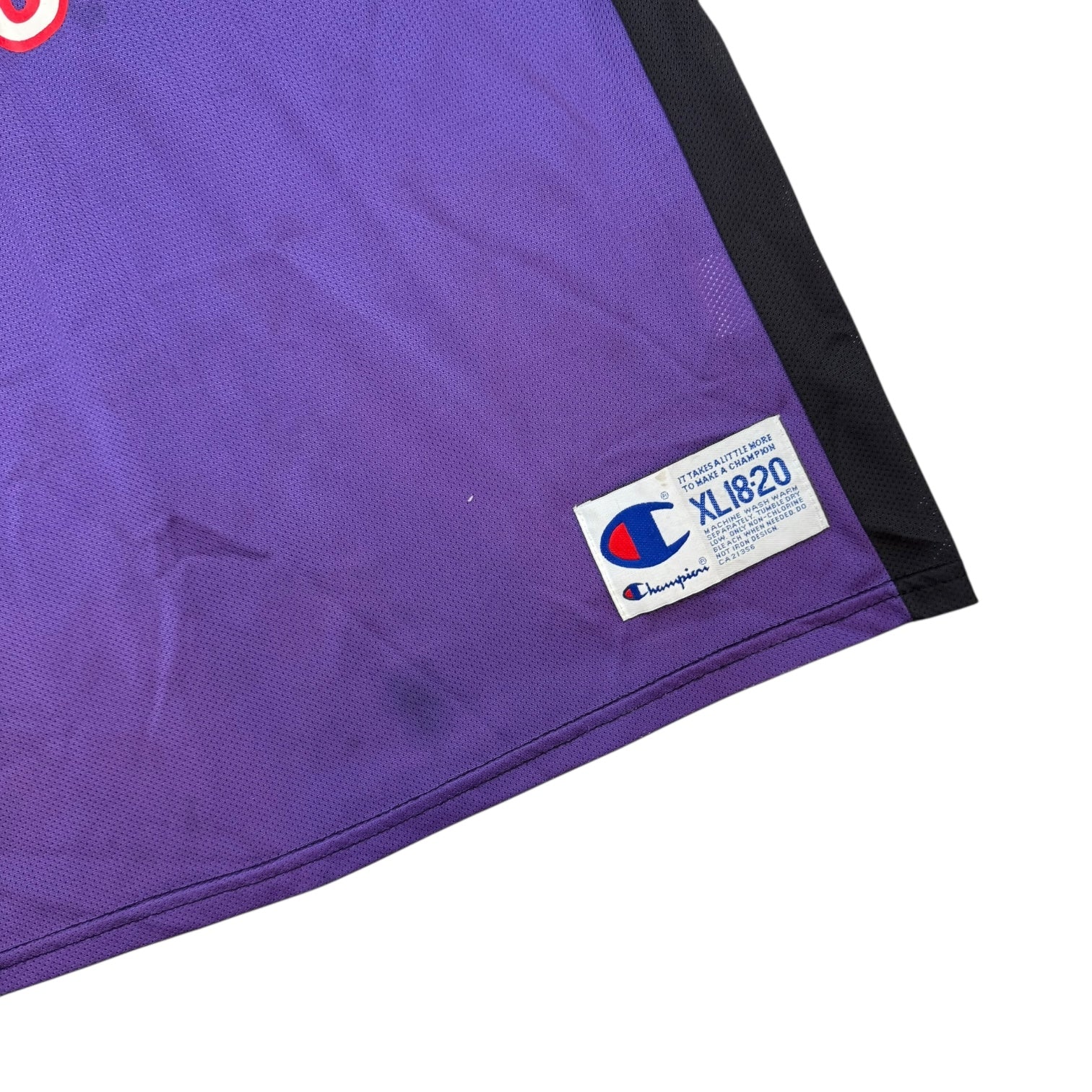Vintage Champion Toronto Raptors Vince Carter Jersey Black/Purple