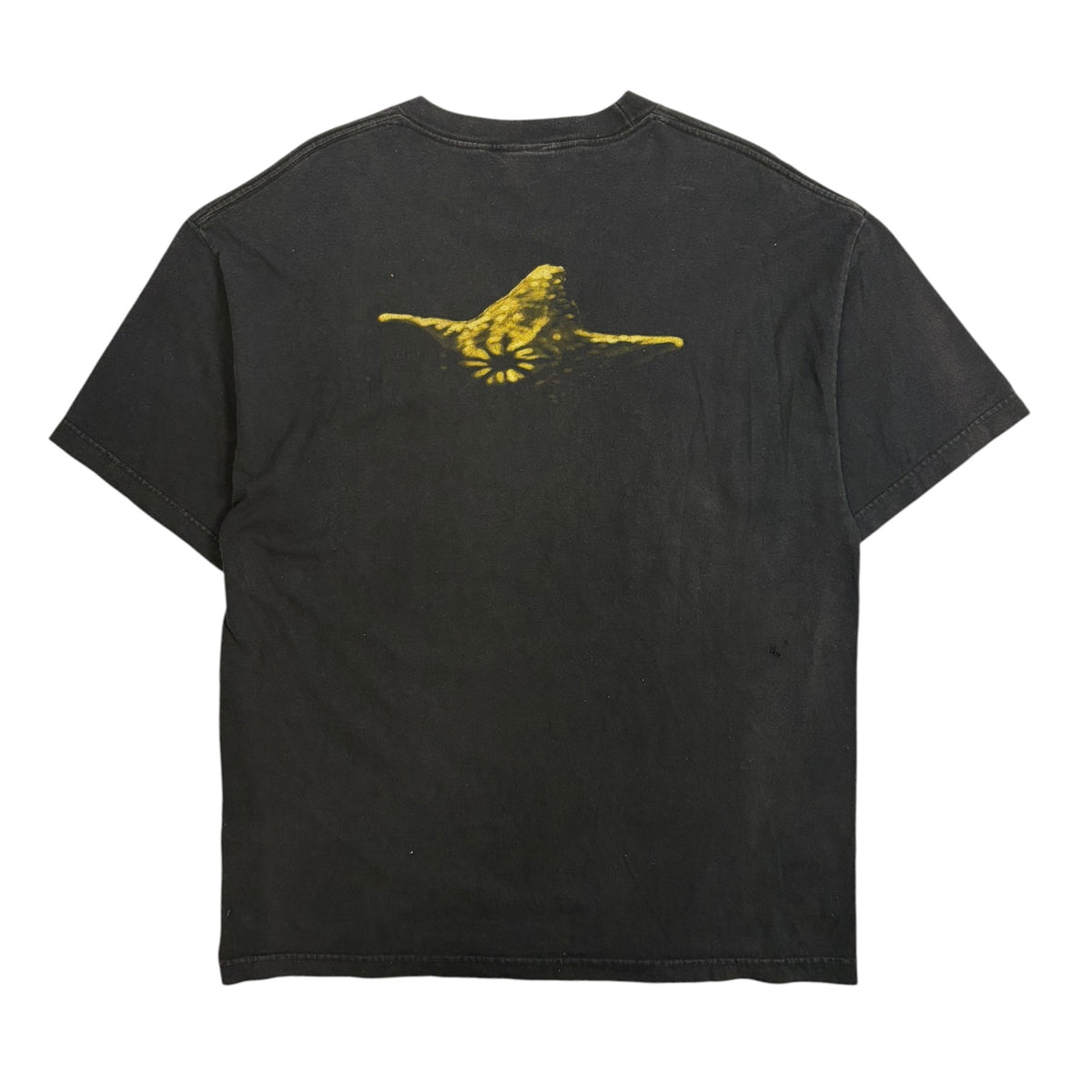 2000 Limp Bizkit Chocolate Starfish and the Hot Dog Flavored Water T-Shirt