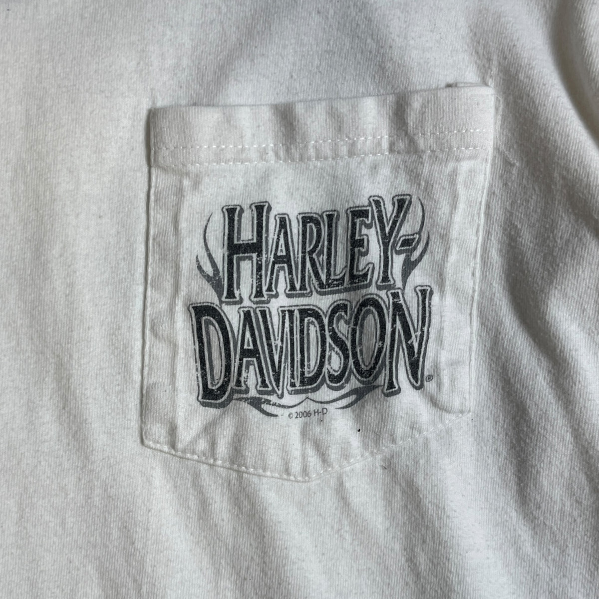 Harley-Davidson Snake Twin Falls Idaho Longsleeve Shirt