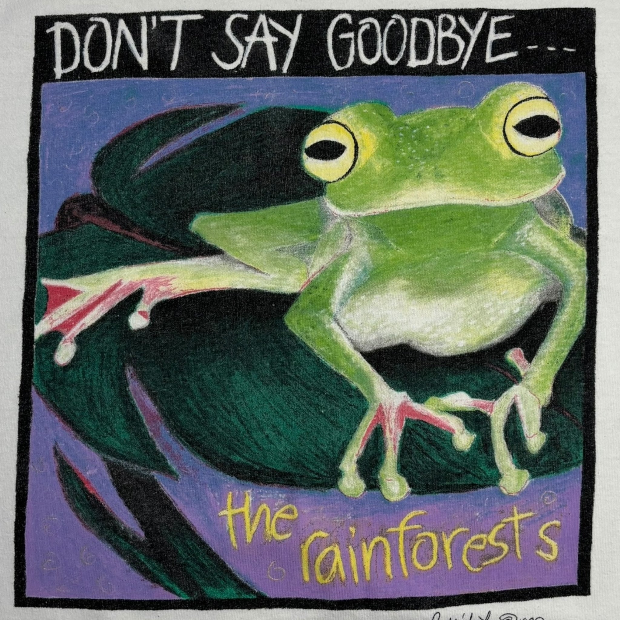 Vintage The Rainforests “Dont Say Goodbye” T-Shirt