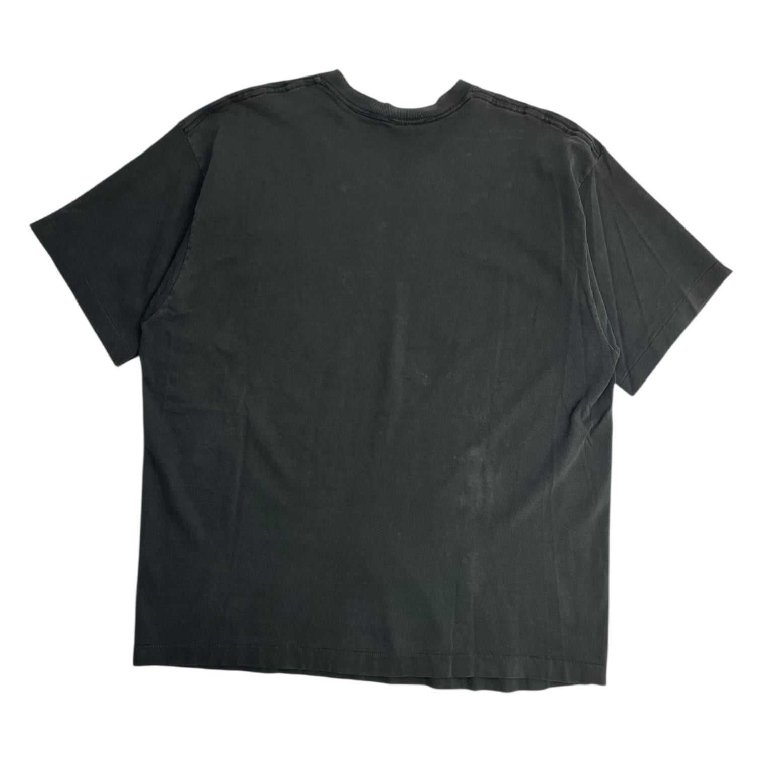 Vintage Phoenix Coyotes NHL T-Shirt Faded