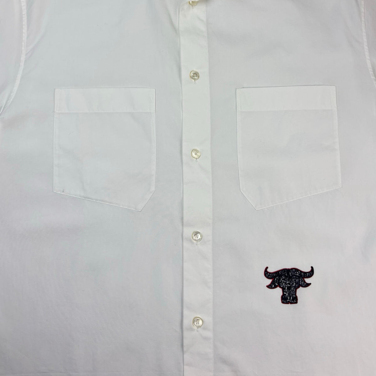 Dior x Shawn Stussy Button-Up Shirt White