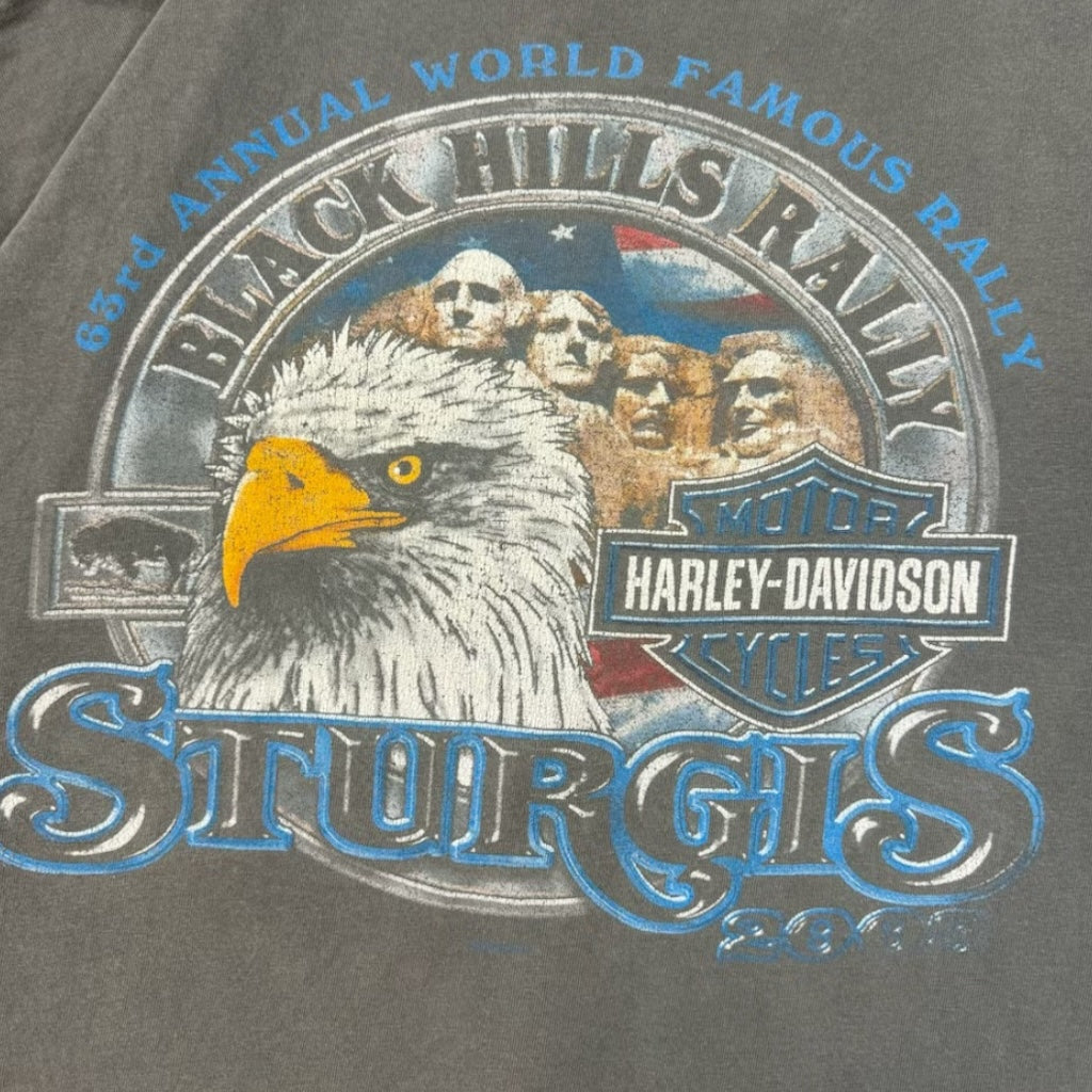 Vintage Mount Rushmore Sturgis Harley Davidson T-Shirt Black