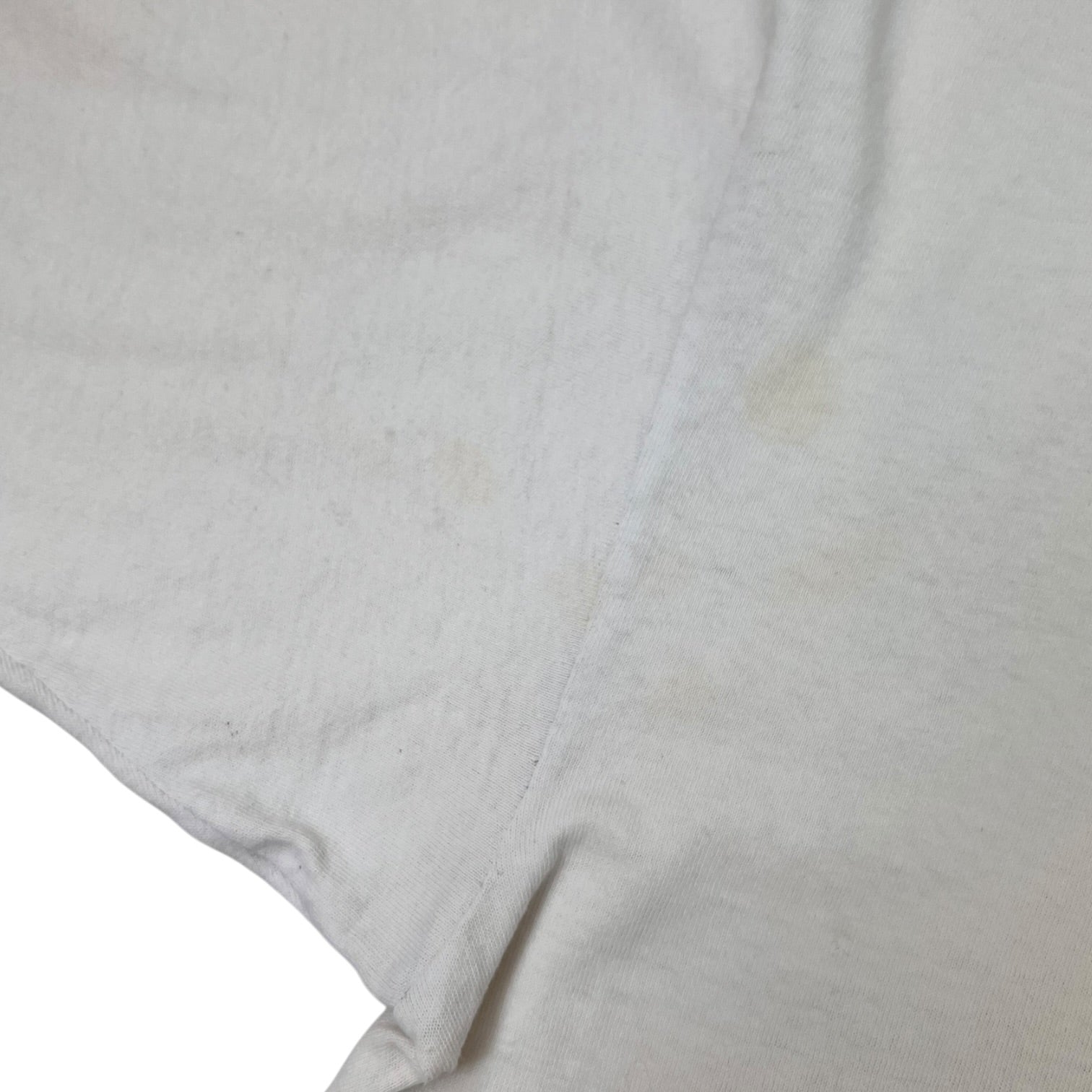 Vintage NBA Royal Avalon Charlotte Hornets Fantastic Fanale 10 Year Anniversary T-shirt