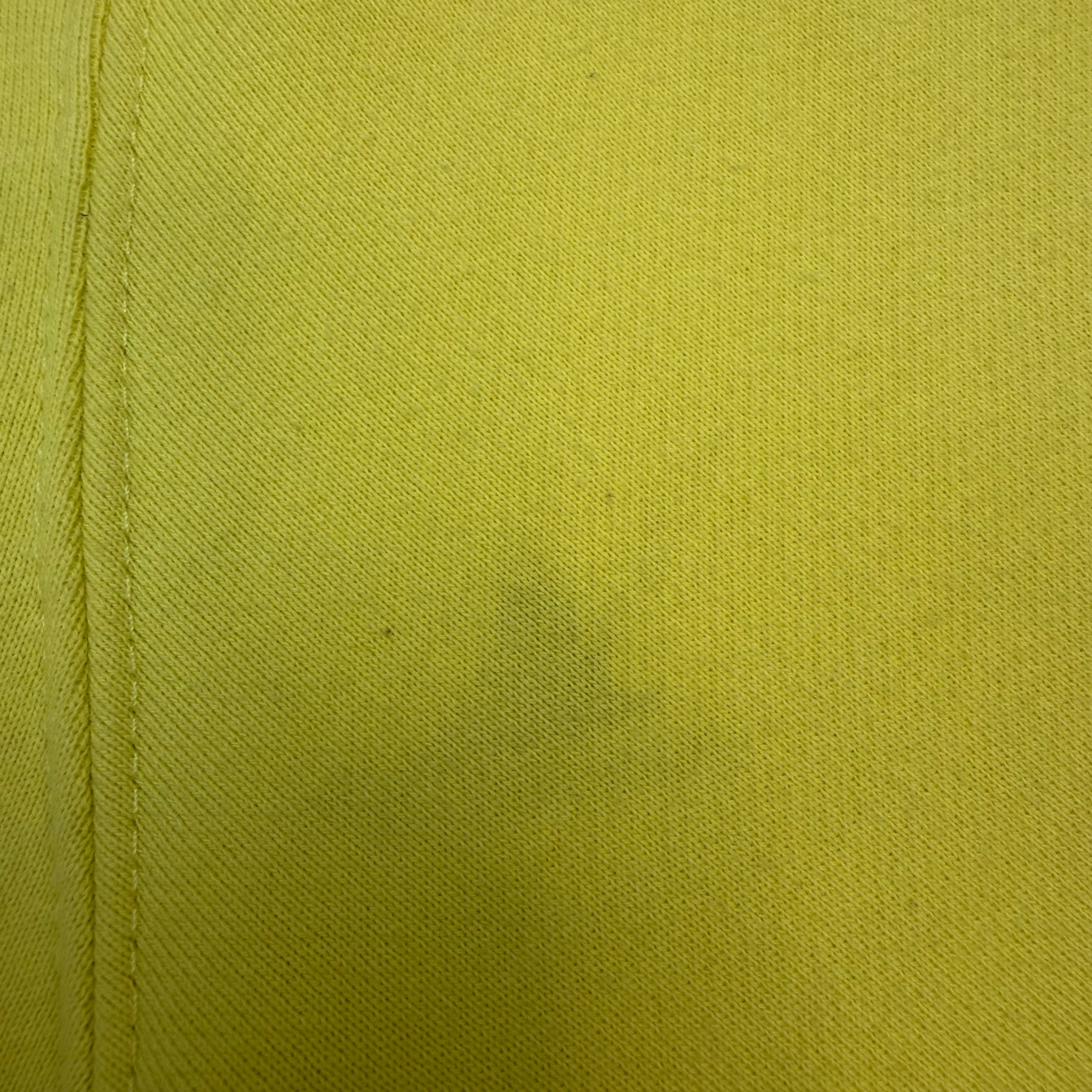 Stussy Basic Hoodie Keylime