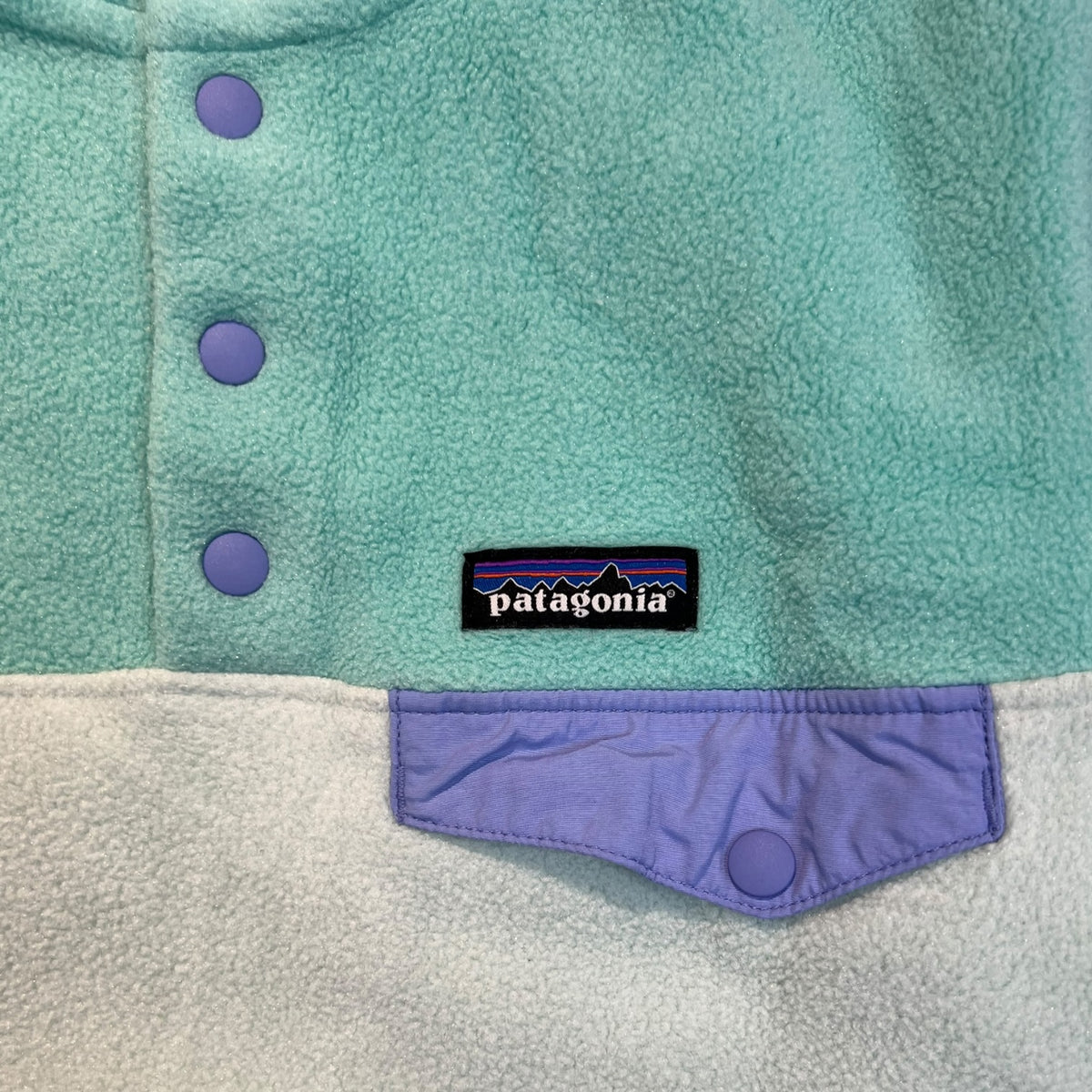 Patagonia Lightweight Synchilla Snap-T Pullover Teal