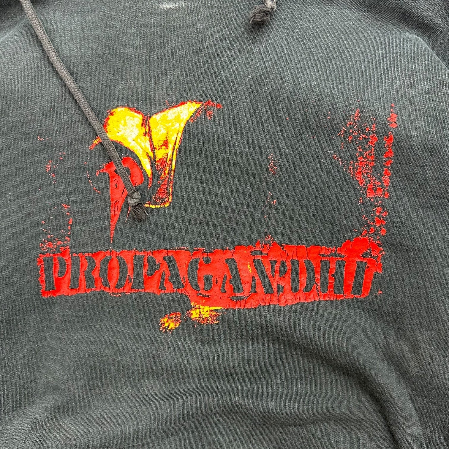 Vintage Propagandhi Band Hoodie Black