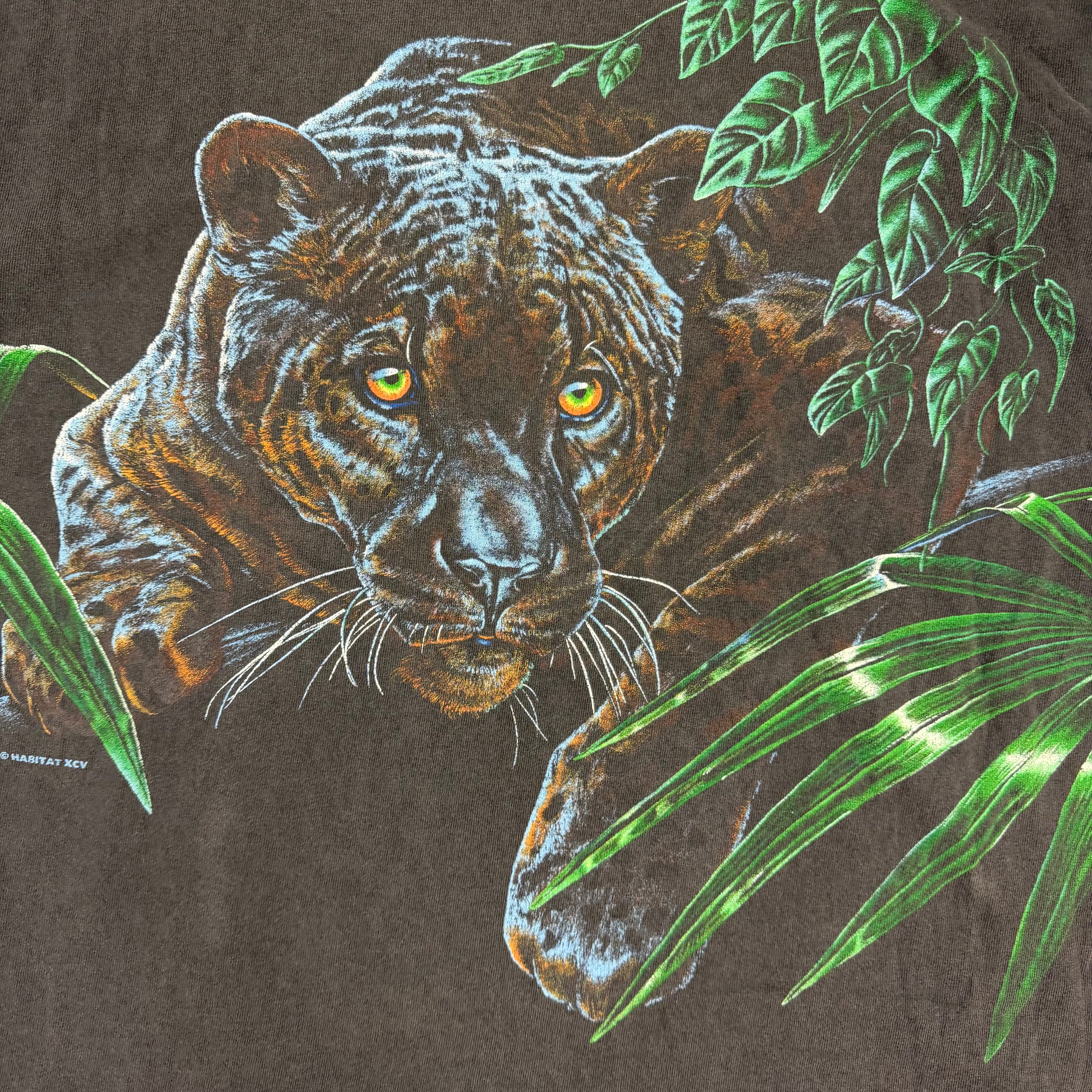 Vintage Black Panther Assiniboine Park Zoo Too Black
