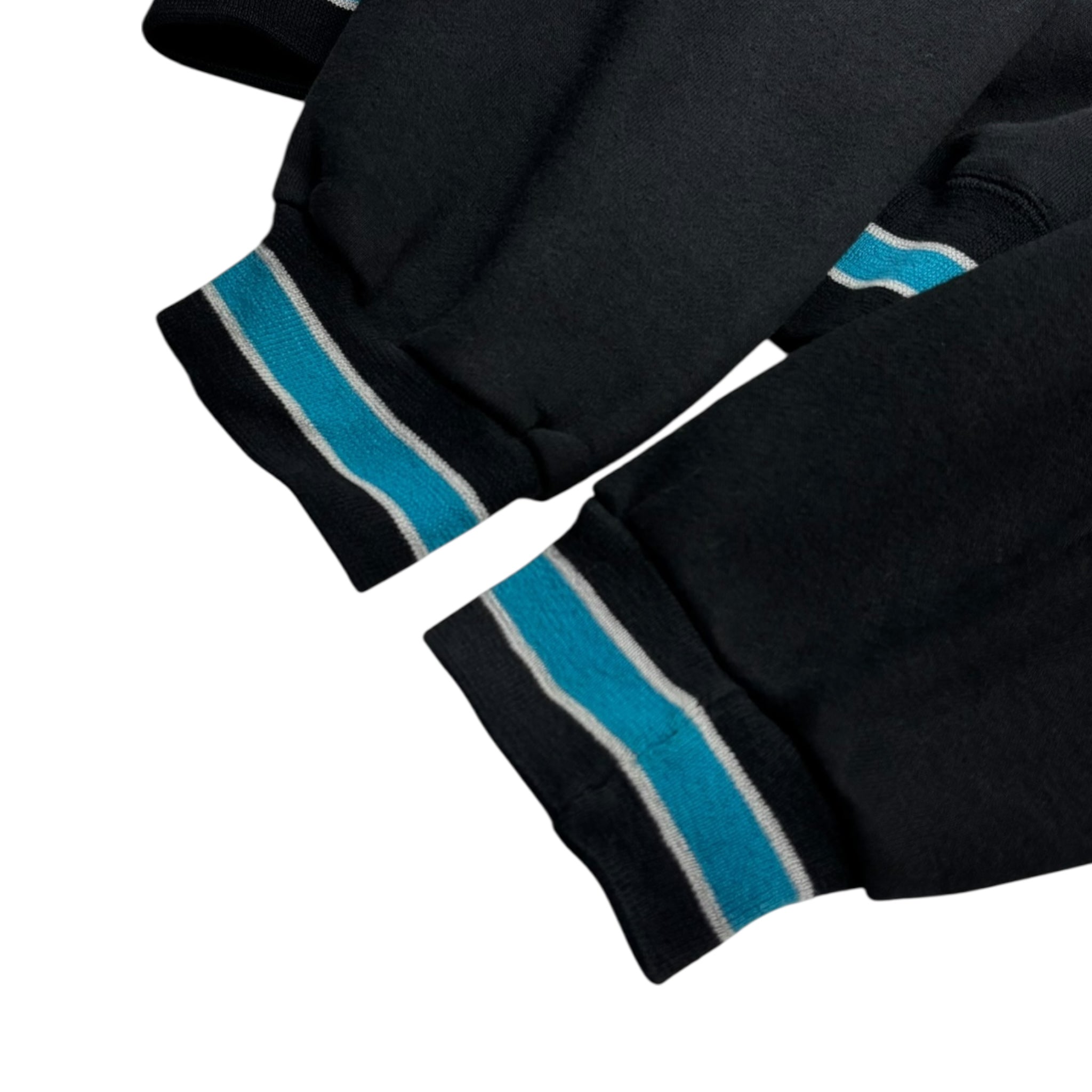 Vintage San Jose Sharks Starter Hoodie