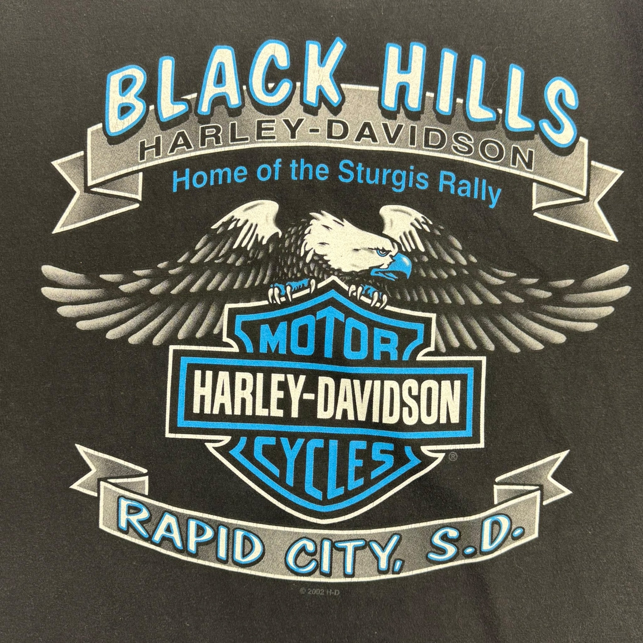 2003 Sturgis Black Hills Rally Rapid City, SD T-Shirt