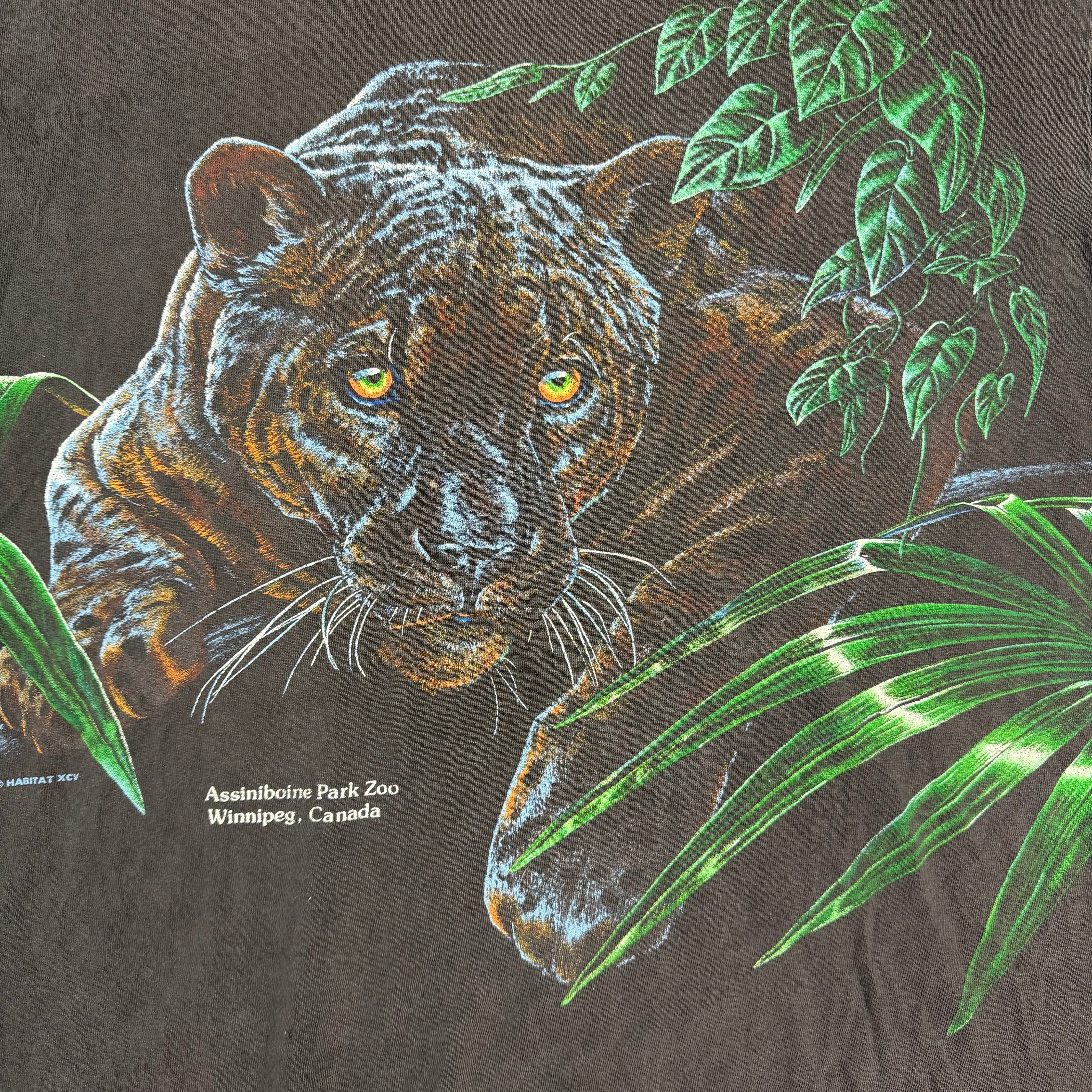 Vintage Black Panther Assiniboine Park Zoo Too Black