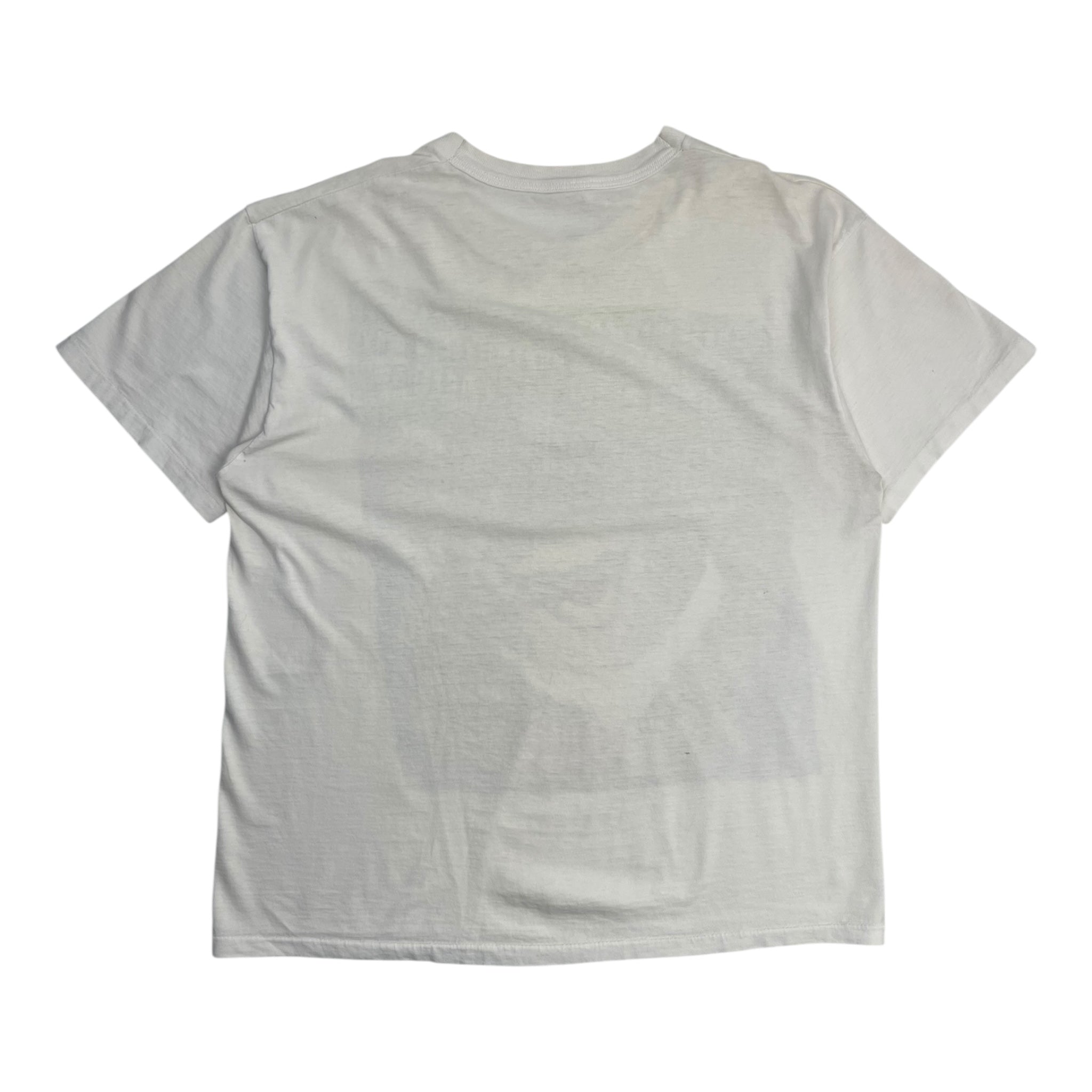 Vintage Dinosaurs Crummy Times T-Shirt