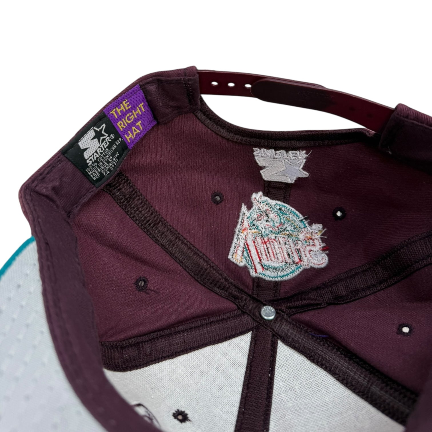 Vintage Detroit Vipers Snapback Plum/Teal