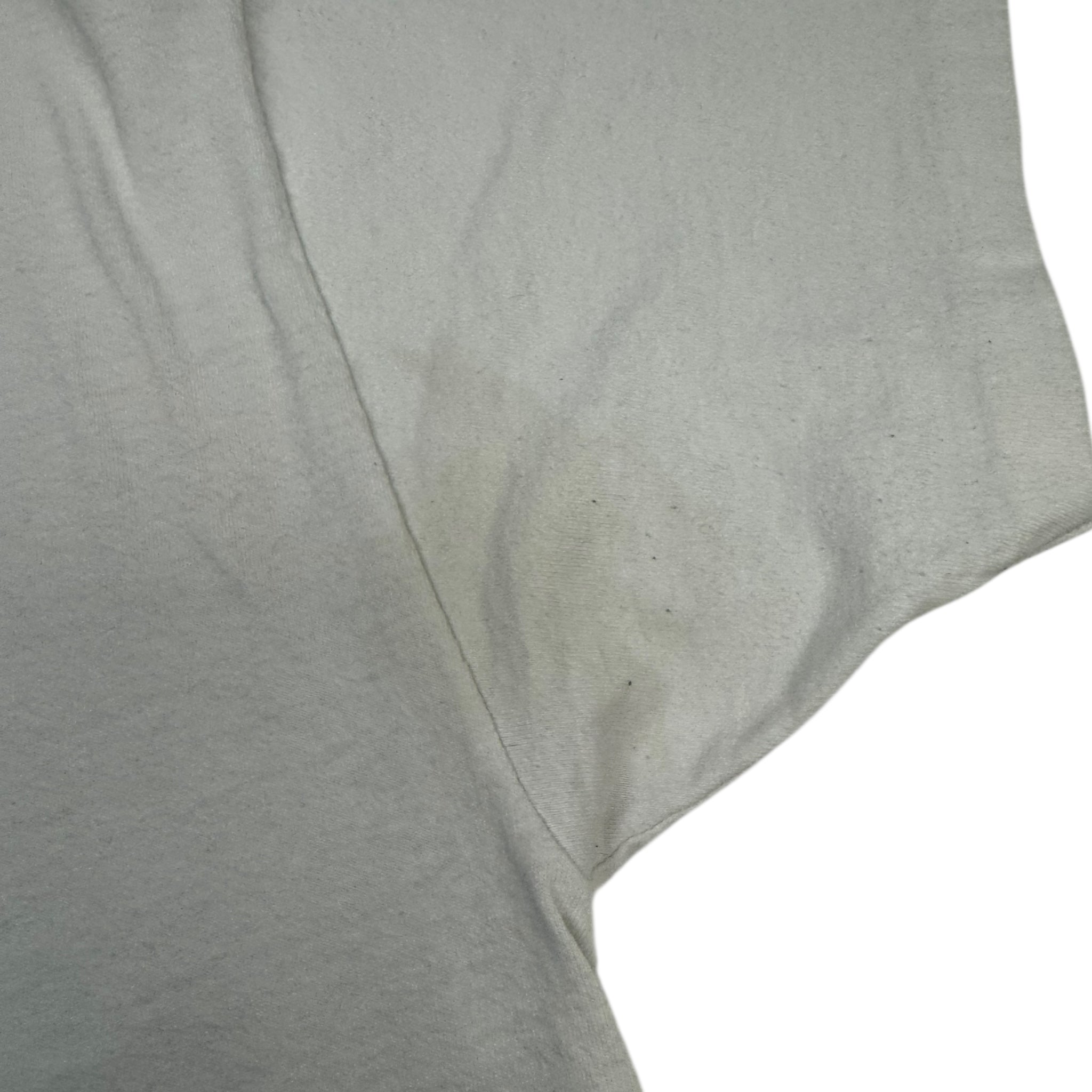 Vintage Brock University Protecting Student Wildlife T-Shirt