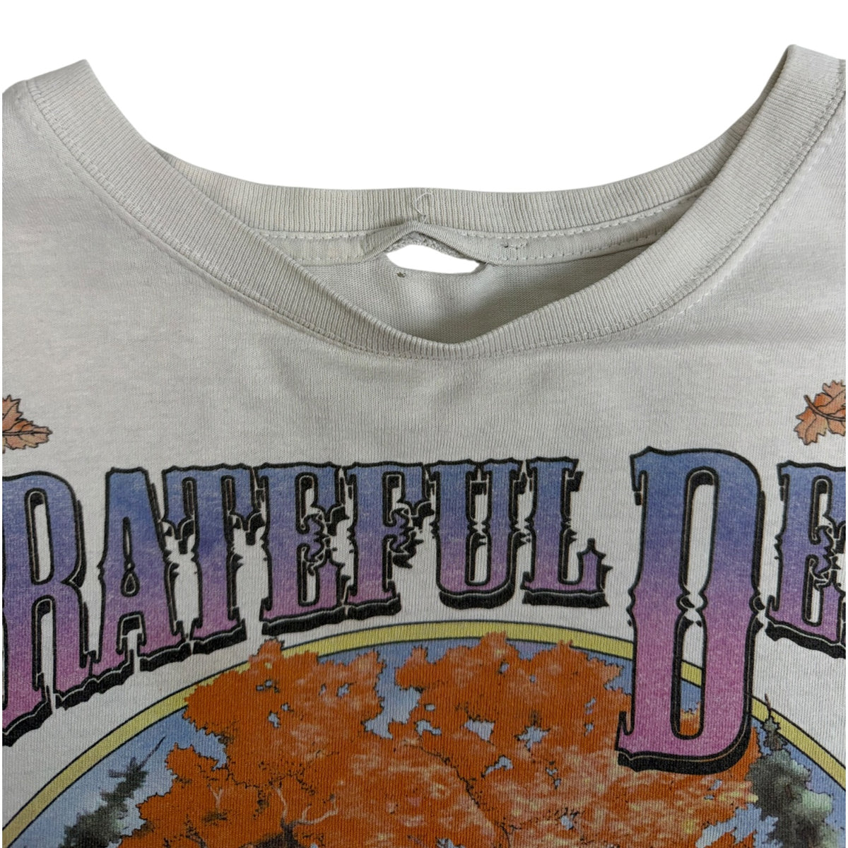 Liquid Blue Grateful Dead Banjo Tie-Dye Long Sleeve Shirt
