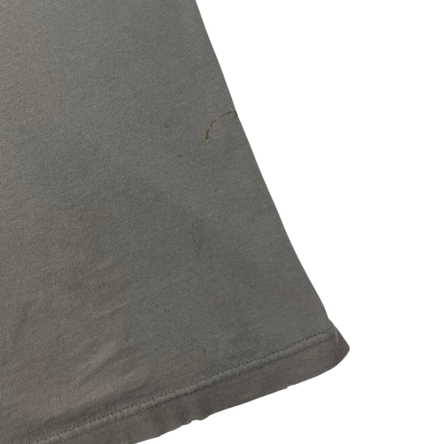 Vintage Santa Cruz Search and Destroy T-Shirt Grey