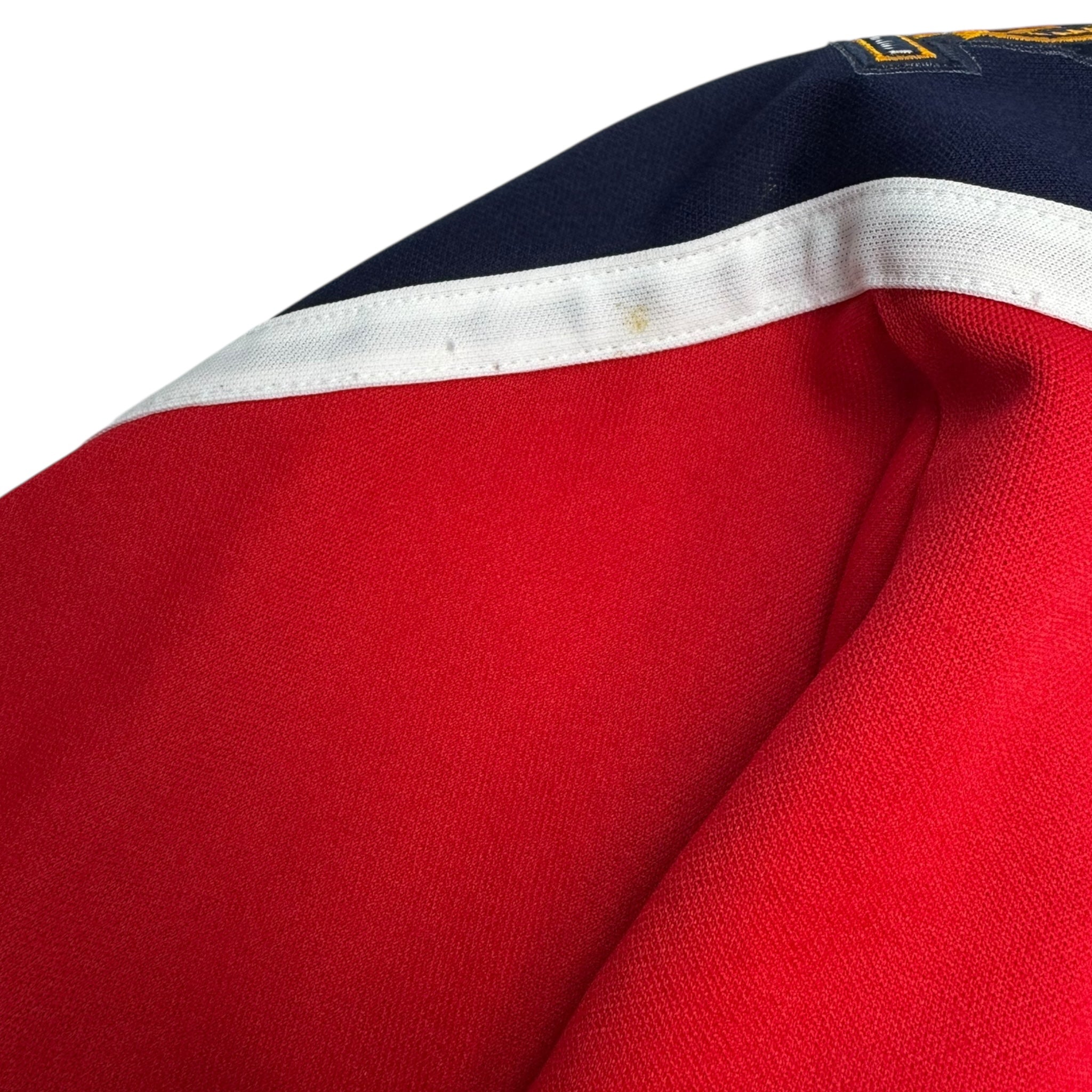 Vintage CCM Florida Panthers NHL Jersey