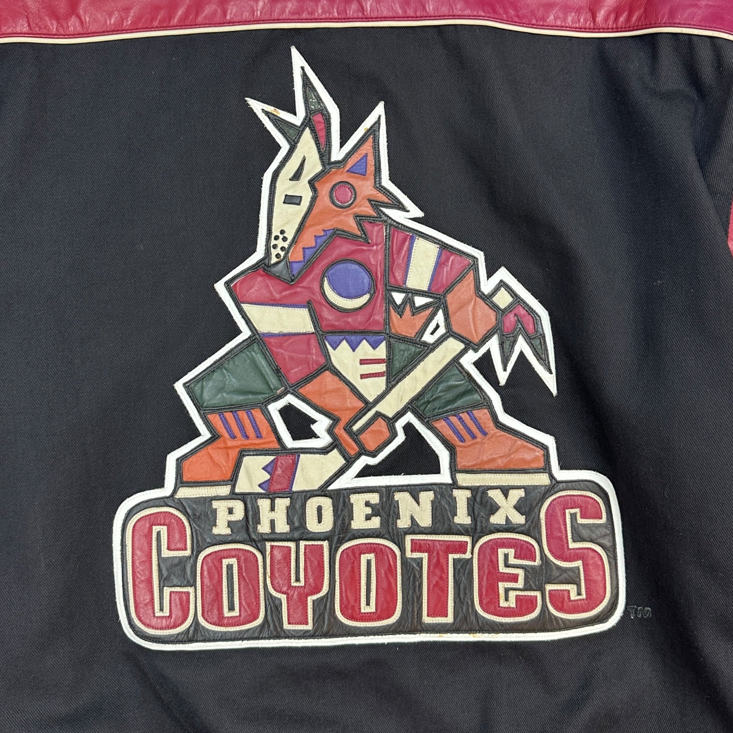 Vintage Jeff Hamilton Phoenix Coyotes Leather Varsity Jacket