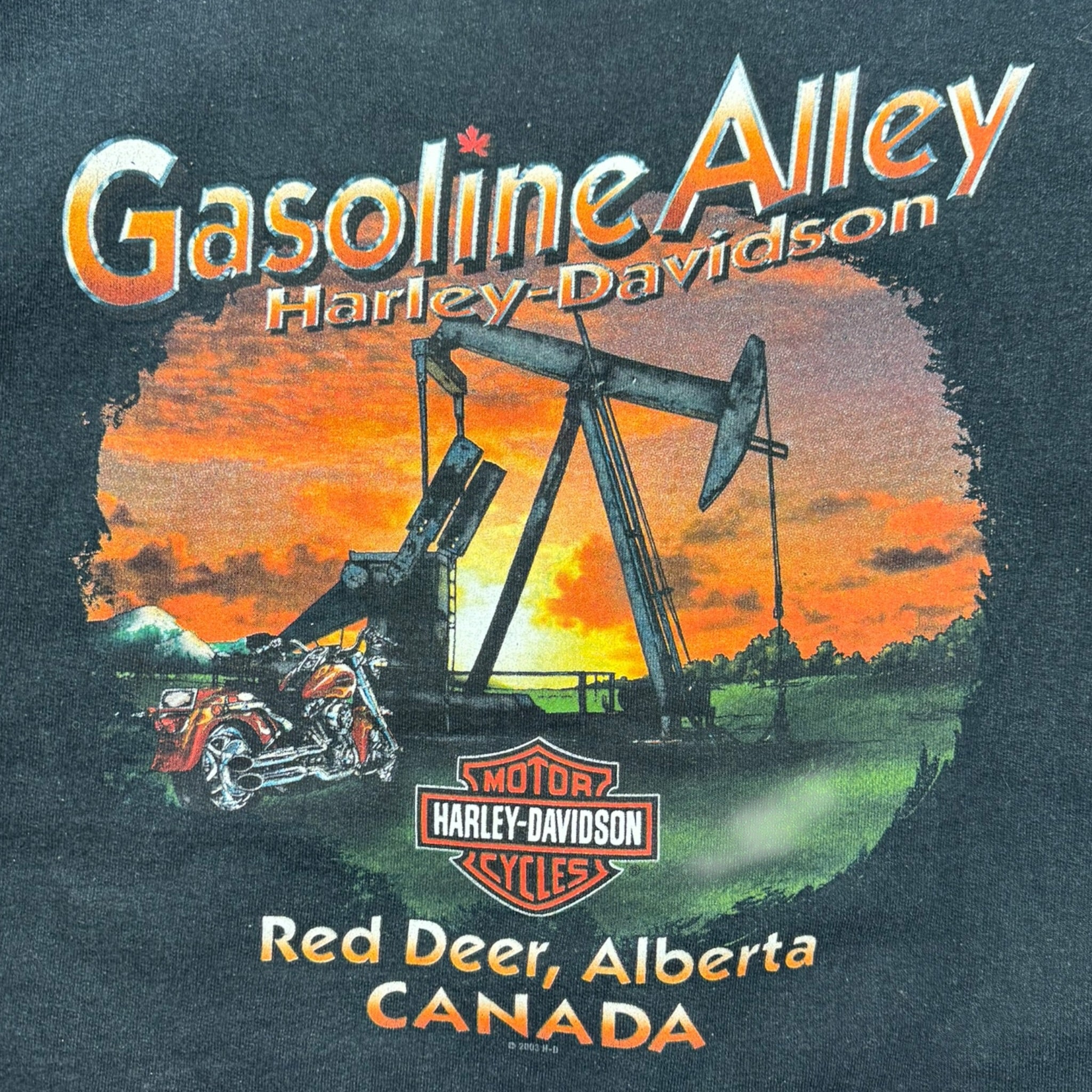 2009 Harley Davidson Gasoline Alley Hoodie