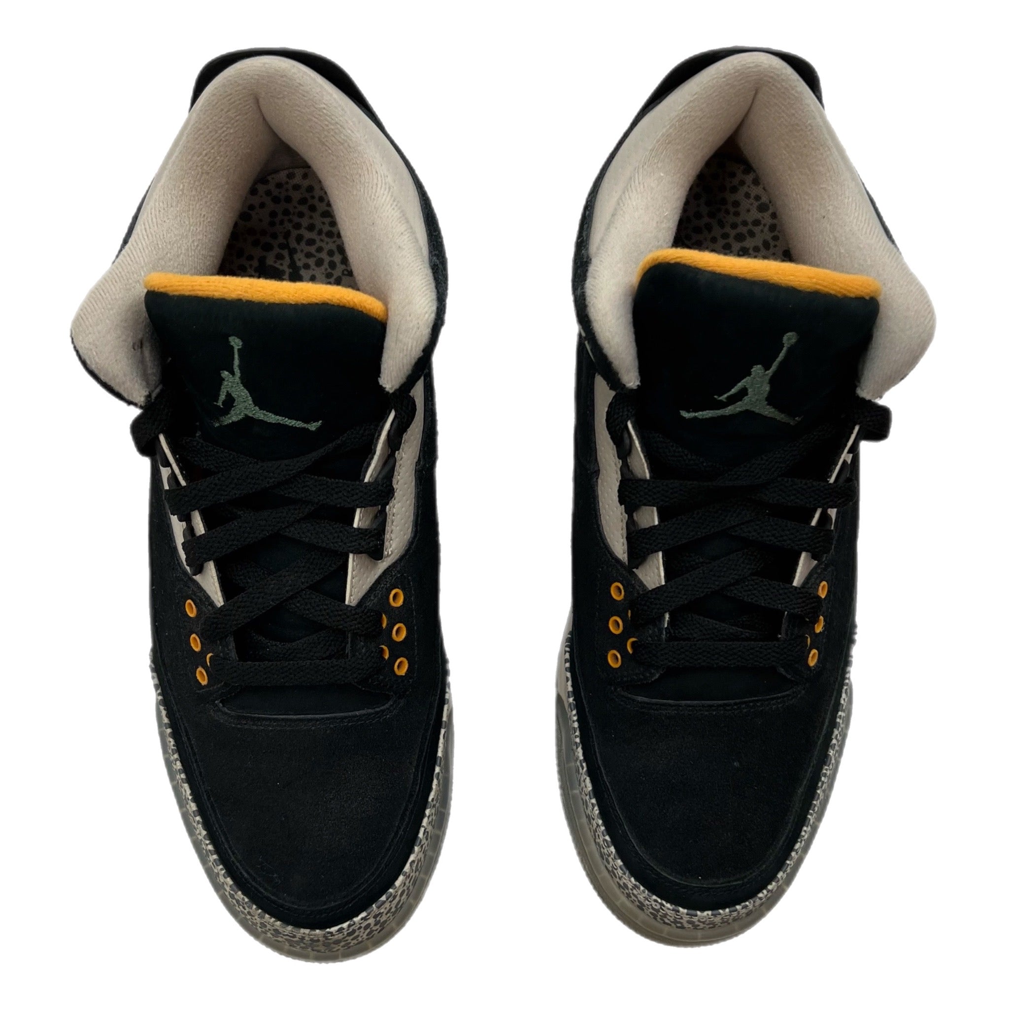 Jordan 3 Atmos (2018) (Used)