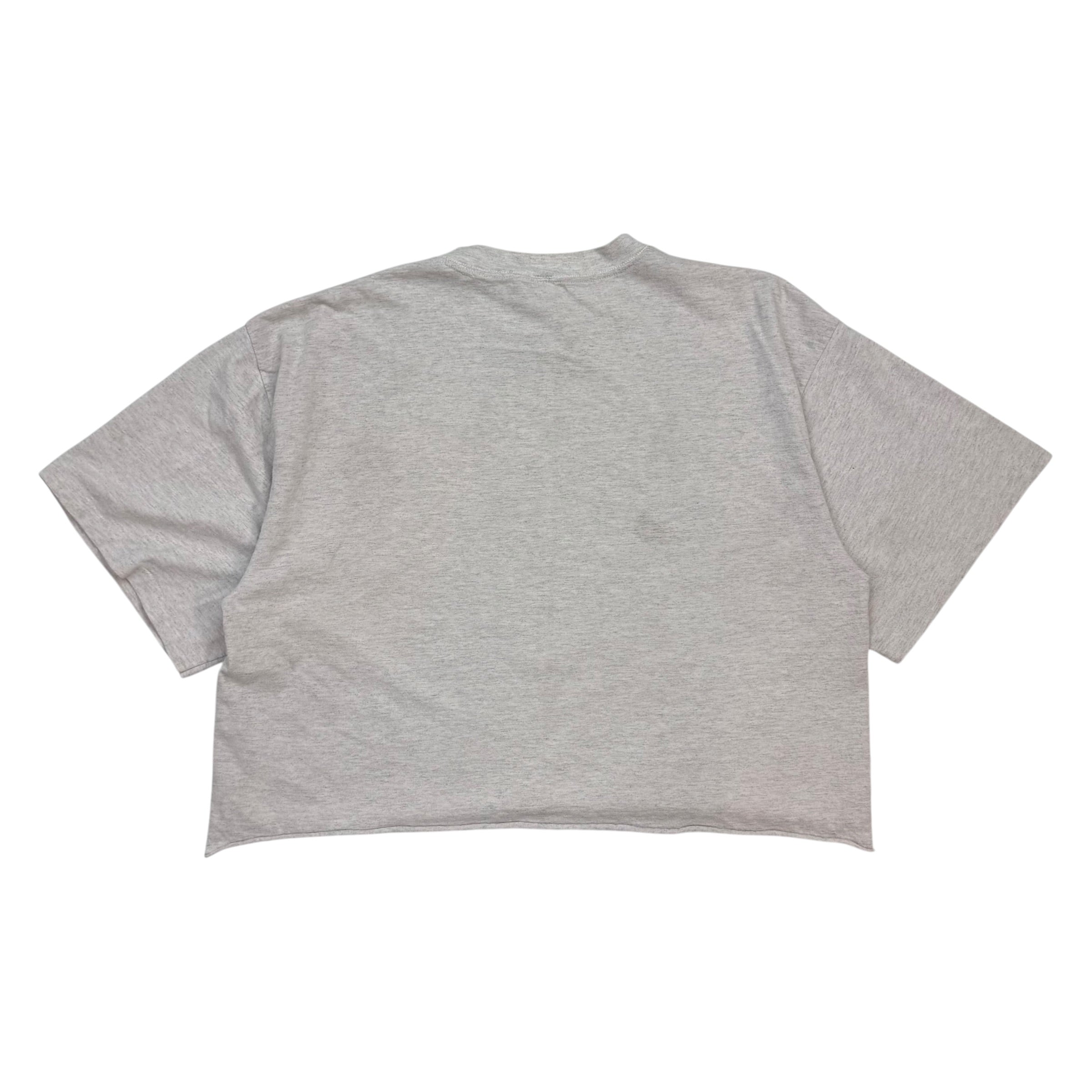 1994 Anaheim Ducks Cropped Tee Grey