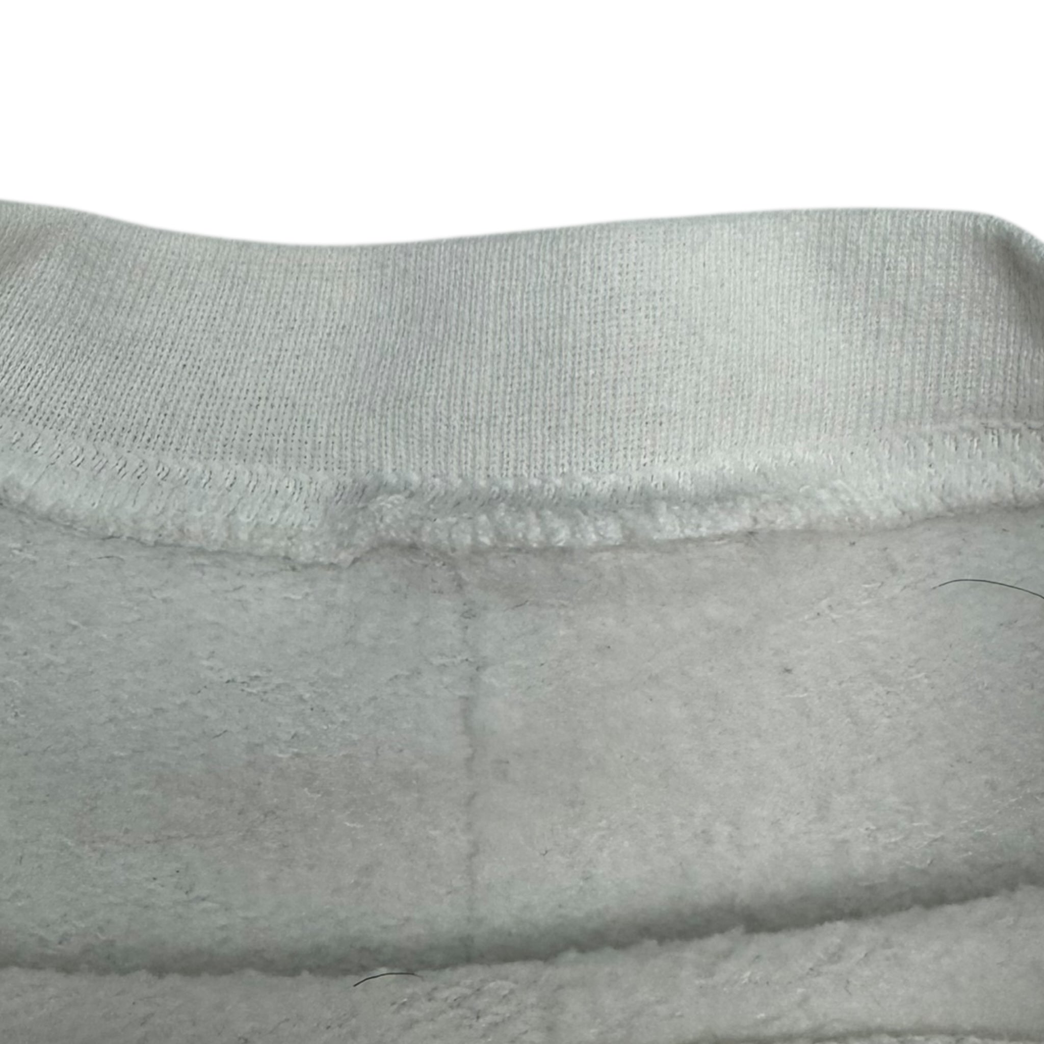 Vintage Tweety Santa Hat Crewneck